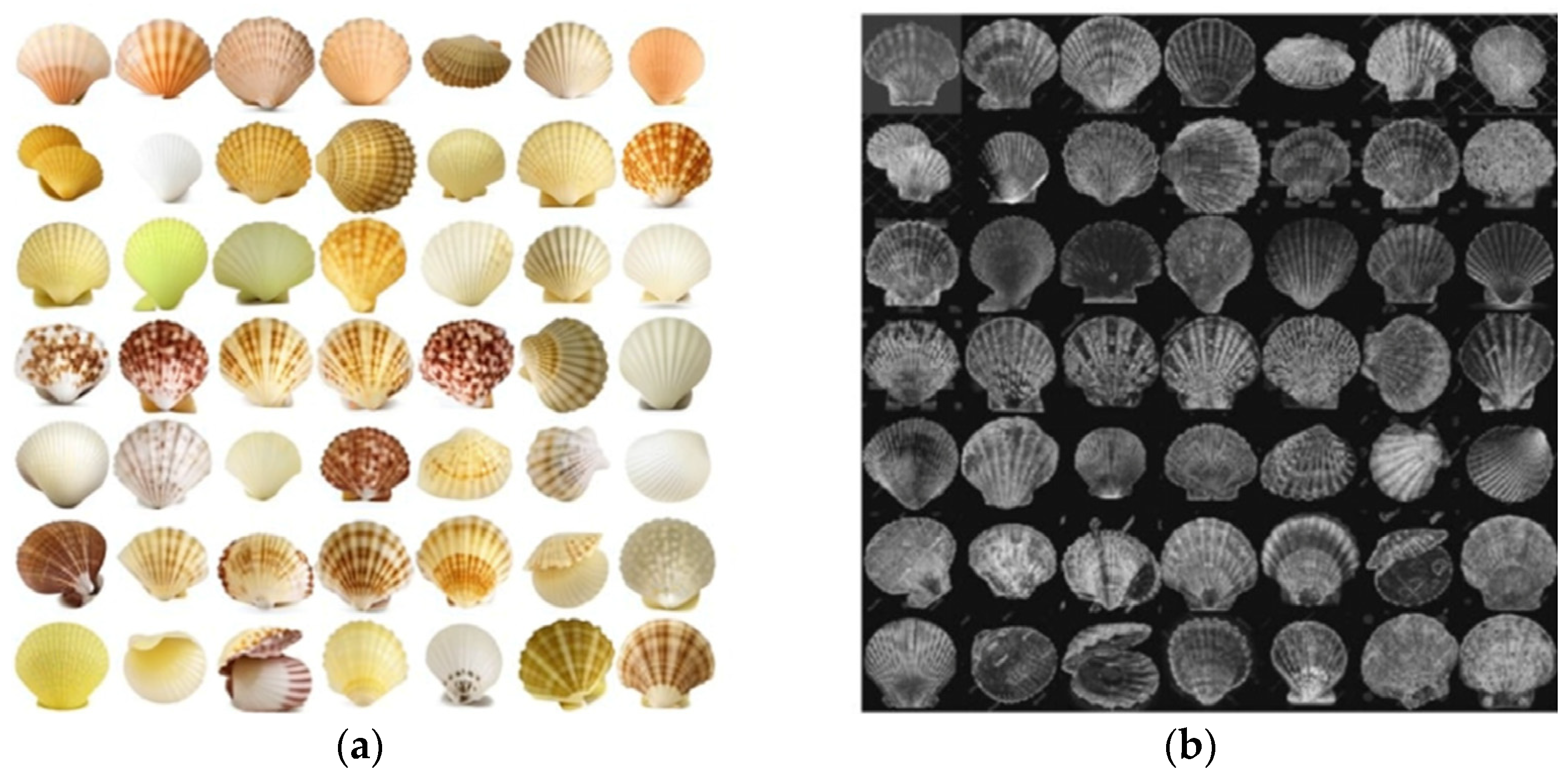 Systems 11 00566 g004