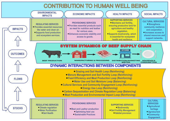 Systems 12 00446 g002