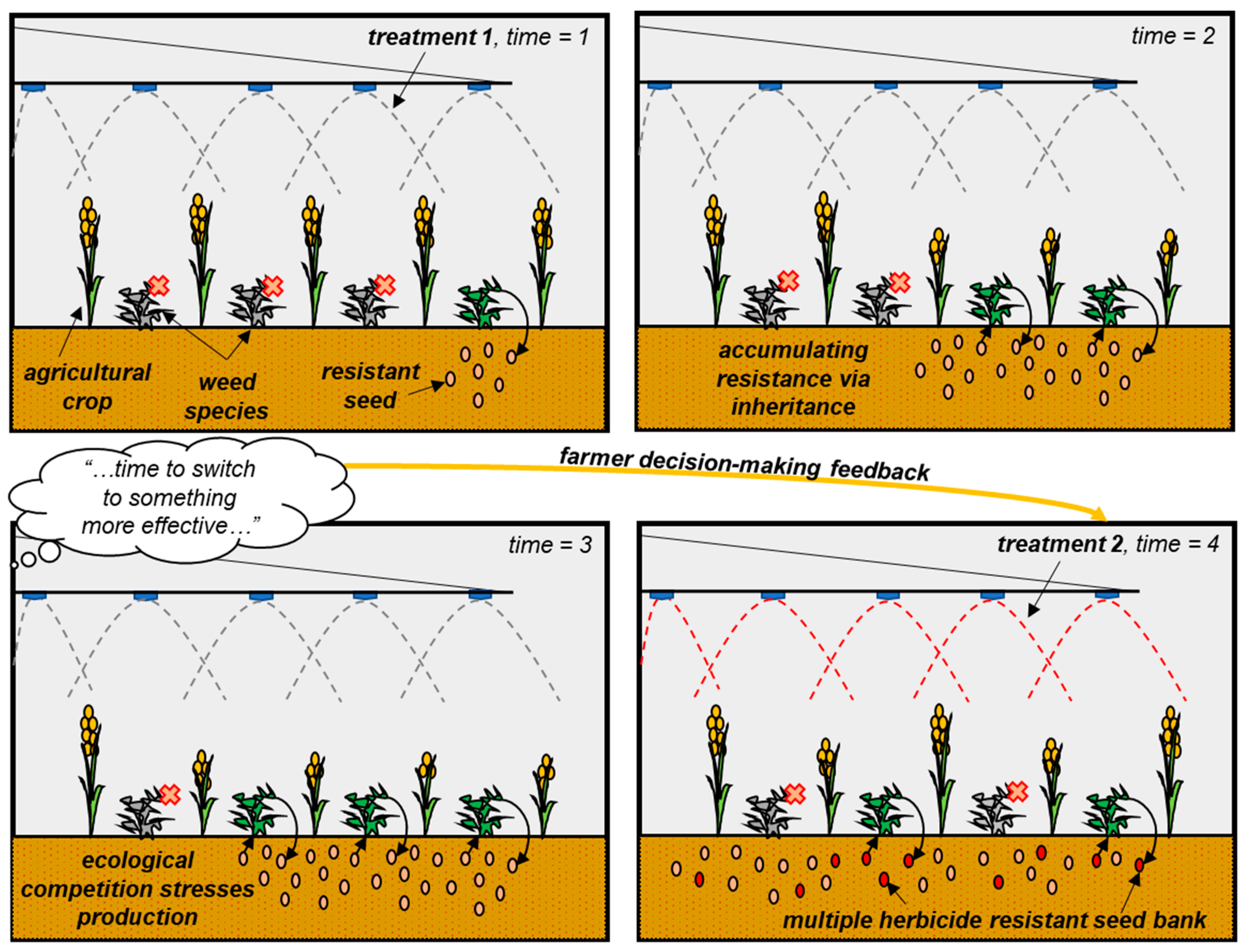 Systems 12 00587 g002
