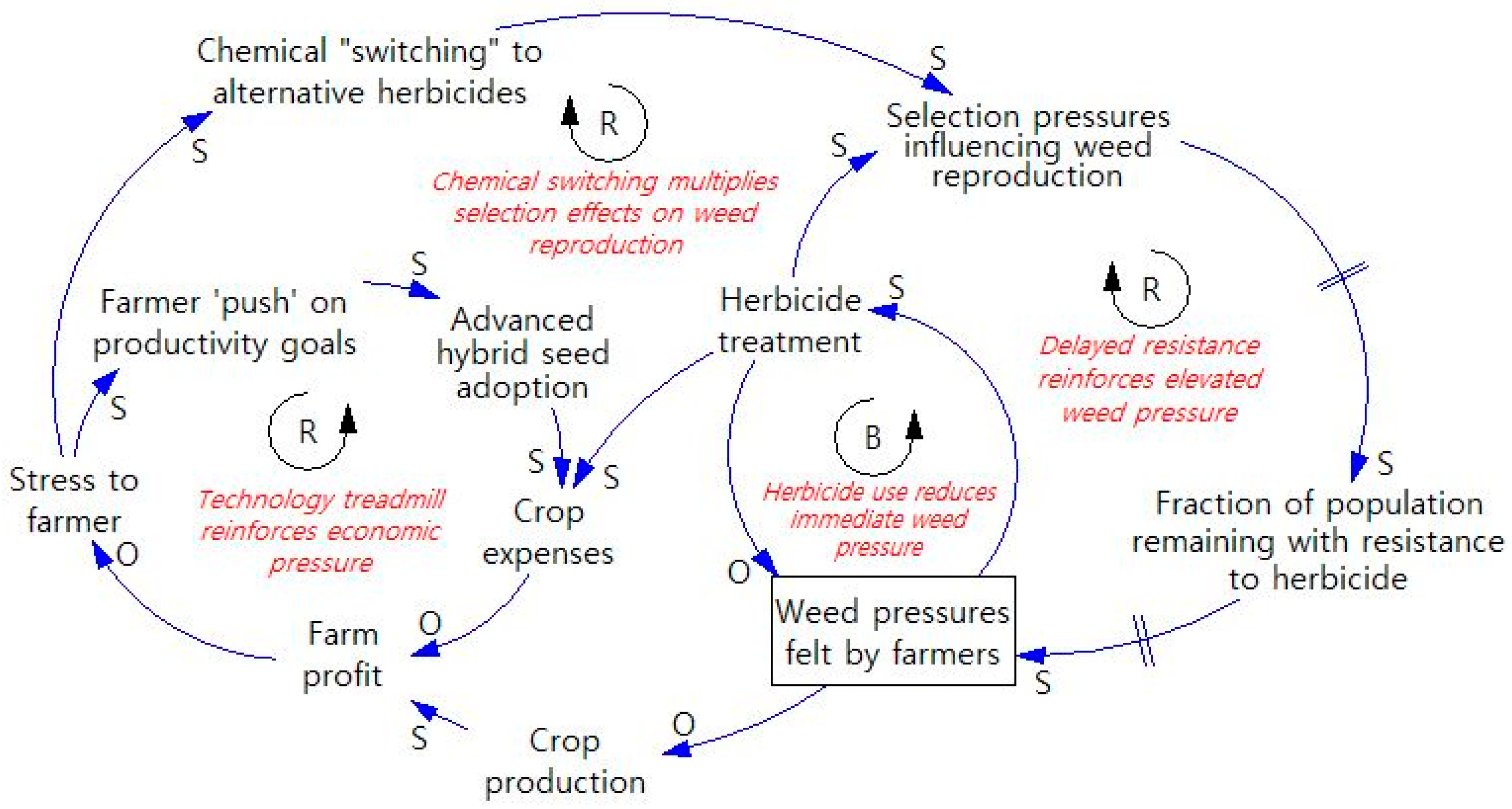 Systems 12 00587 g003