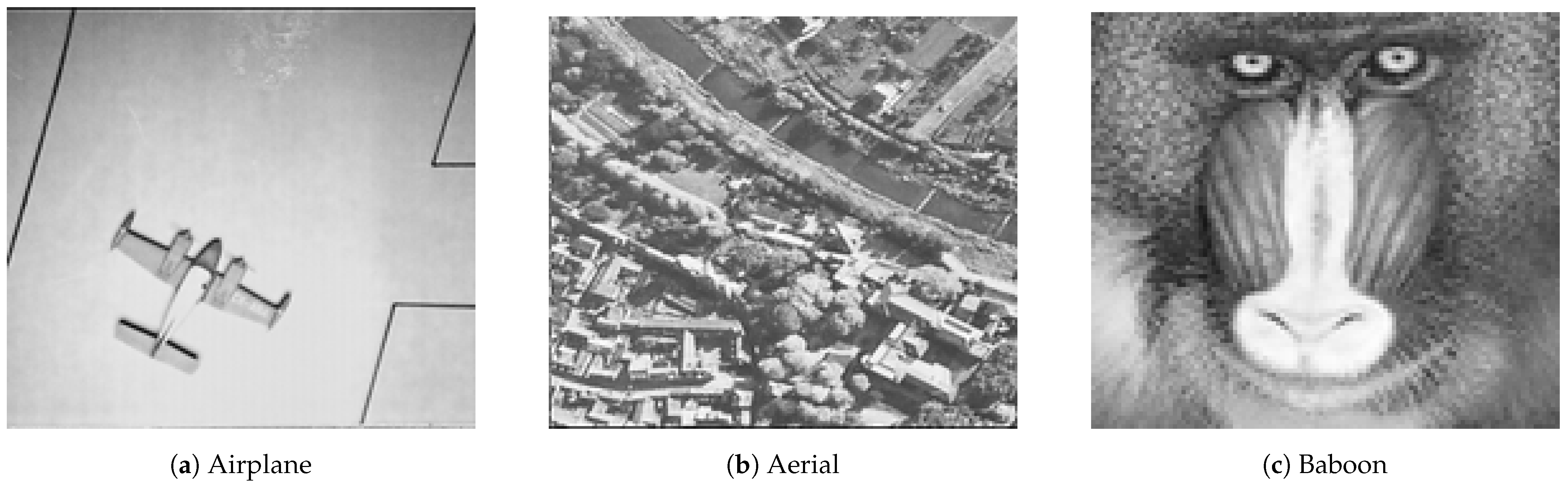 Systems 13 00341 g006