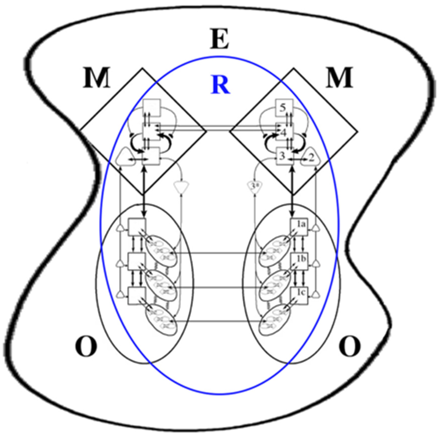 Systems 14 00263 g001