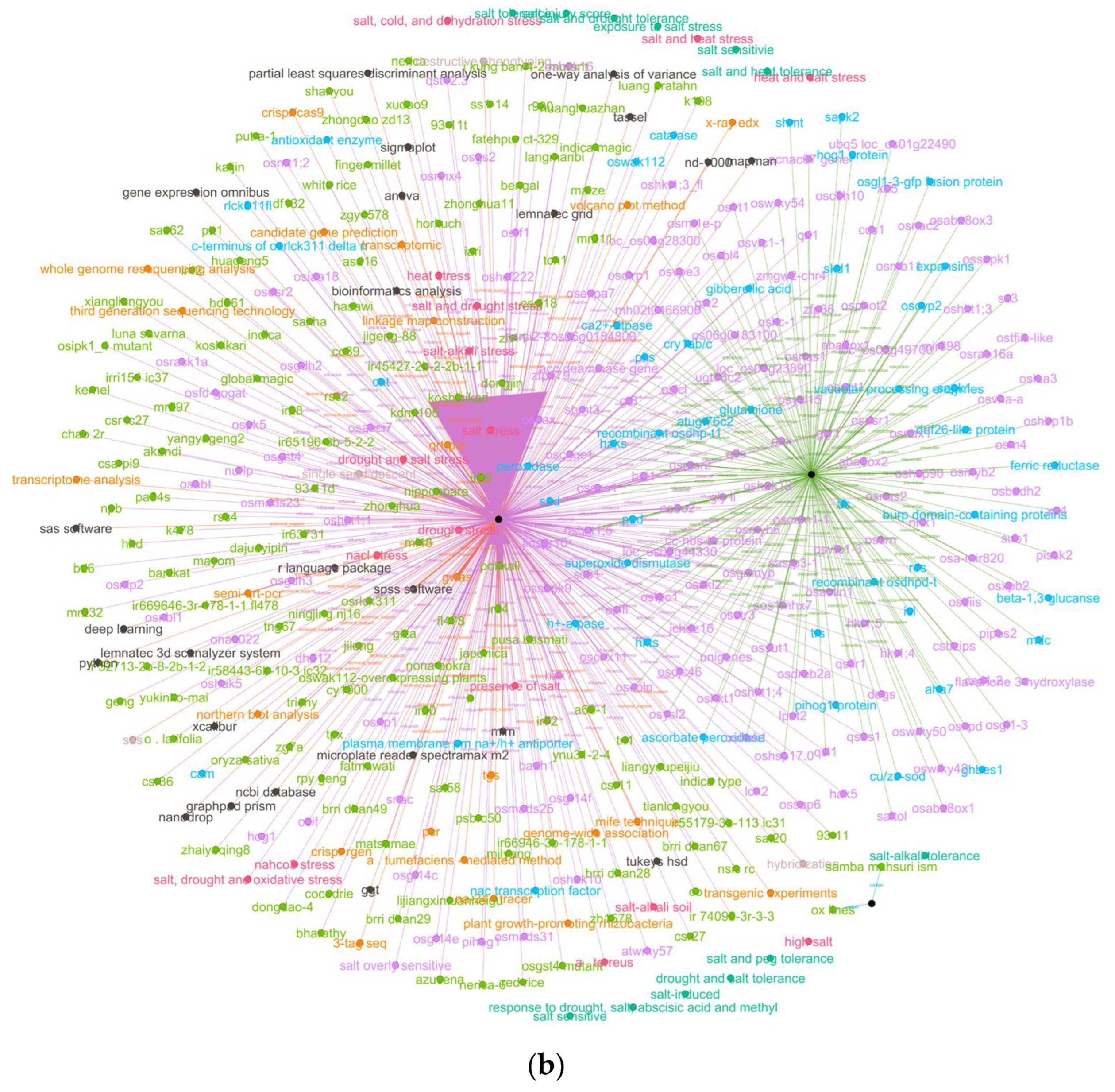 Systems 14 00934 g005b Systems 14 00934 g005b