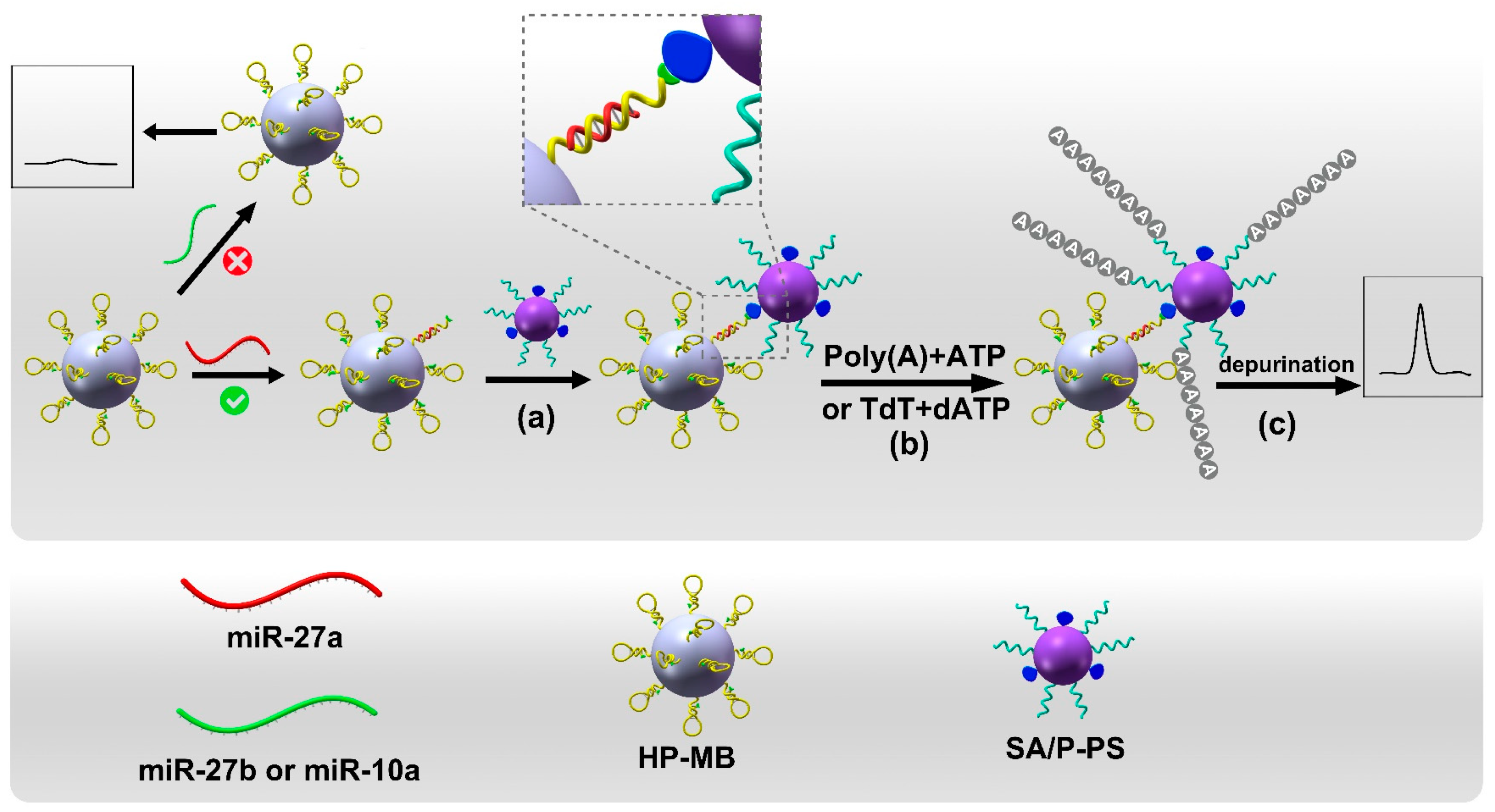 Targets 01 00007 sch001
