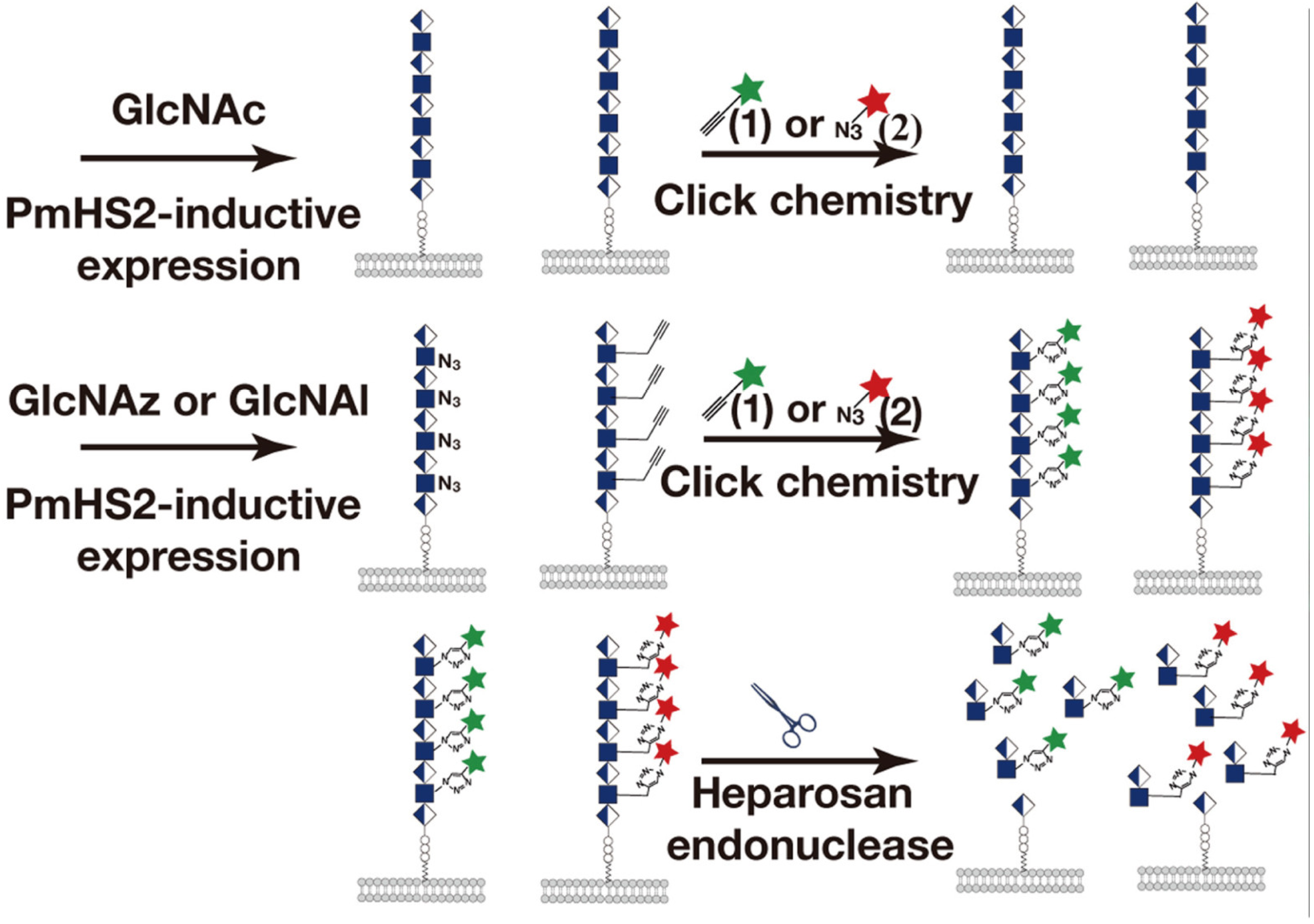 Targets 02 00001 g002