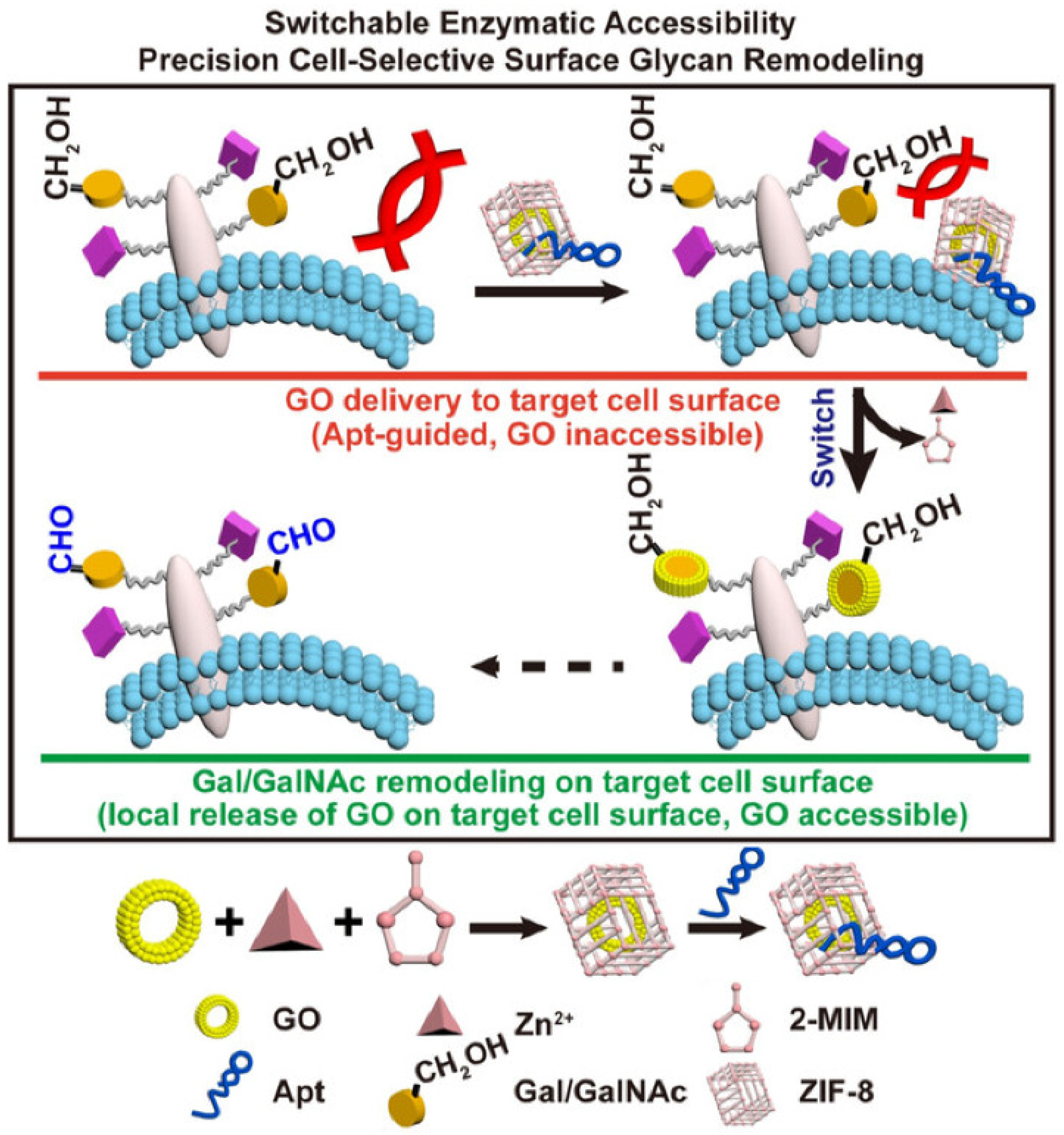 Targets 02 00001 g005