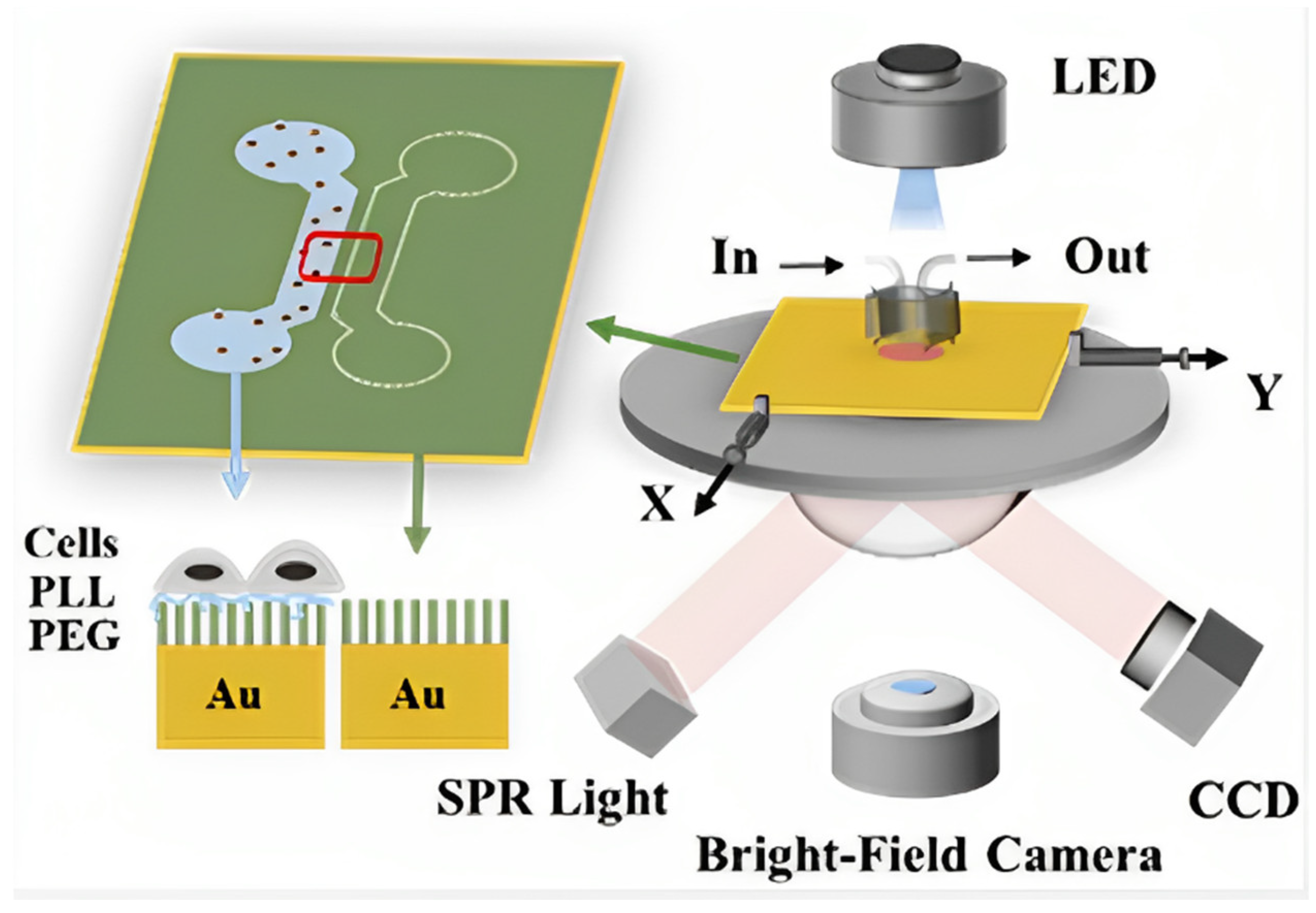 Targets 02 00001 g008