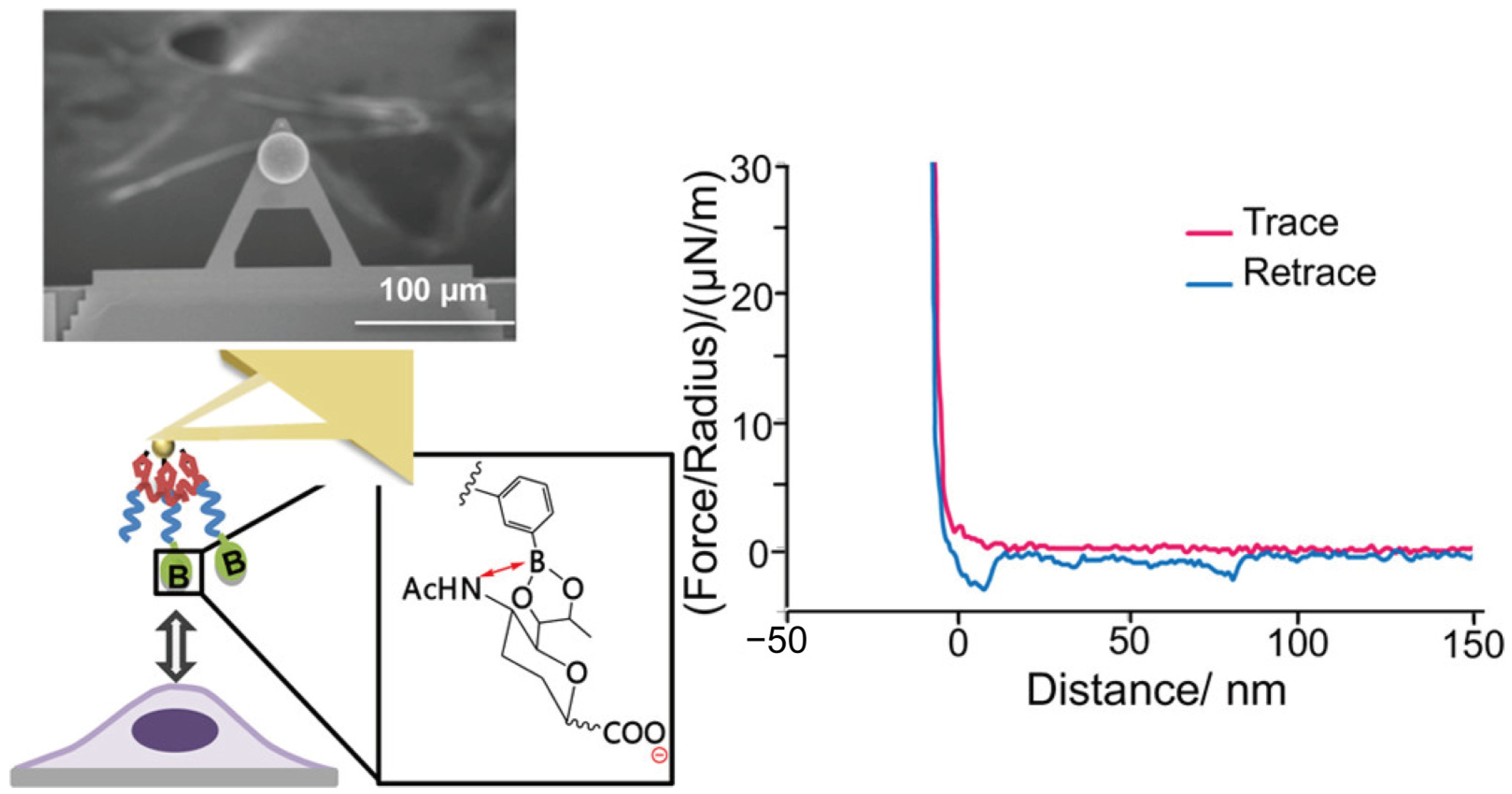 Targets 02 00001 g009
