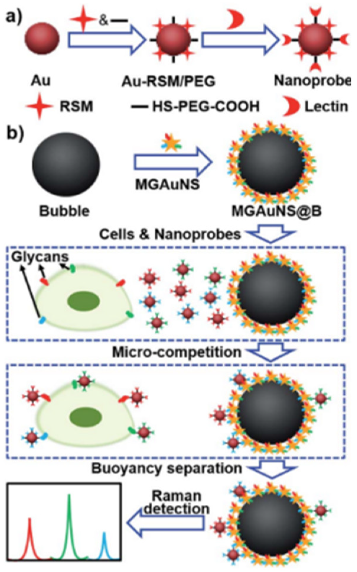 Targets 02 00001 g013