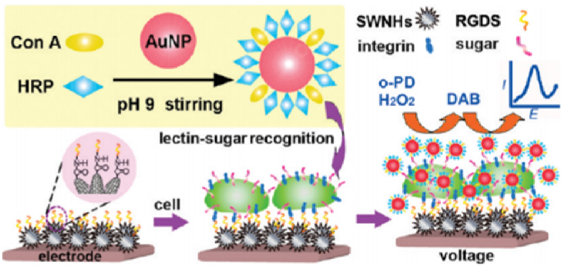 Targets 02 00001 g015