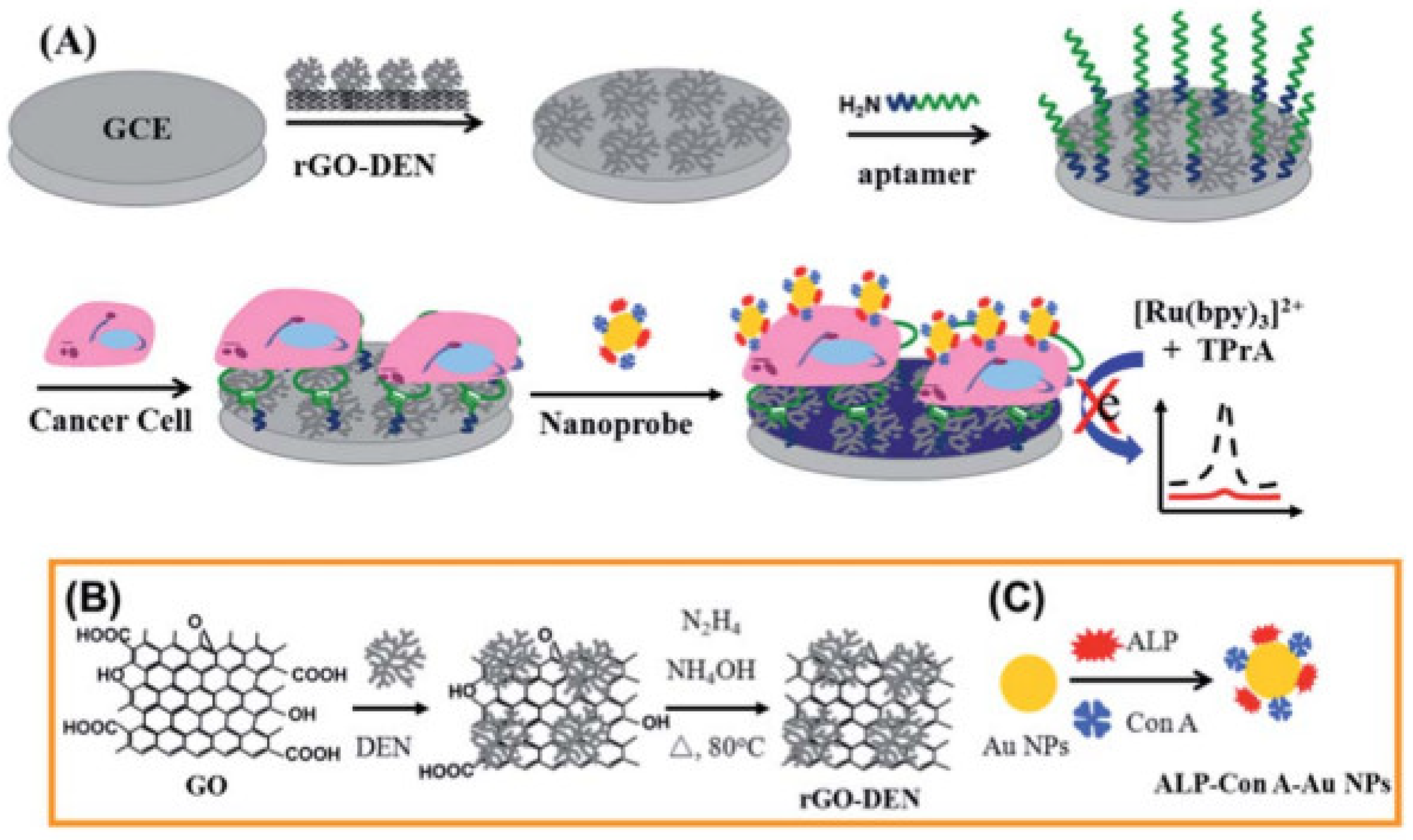 Targets 02 00001 g017