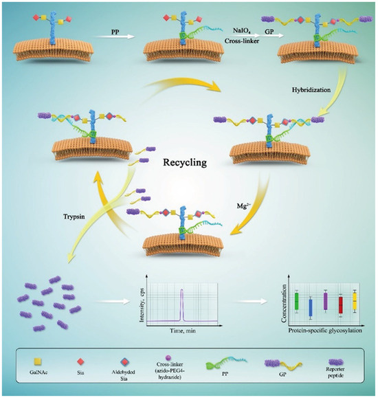 Targets 02 00001 g019