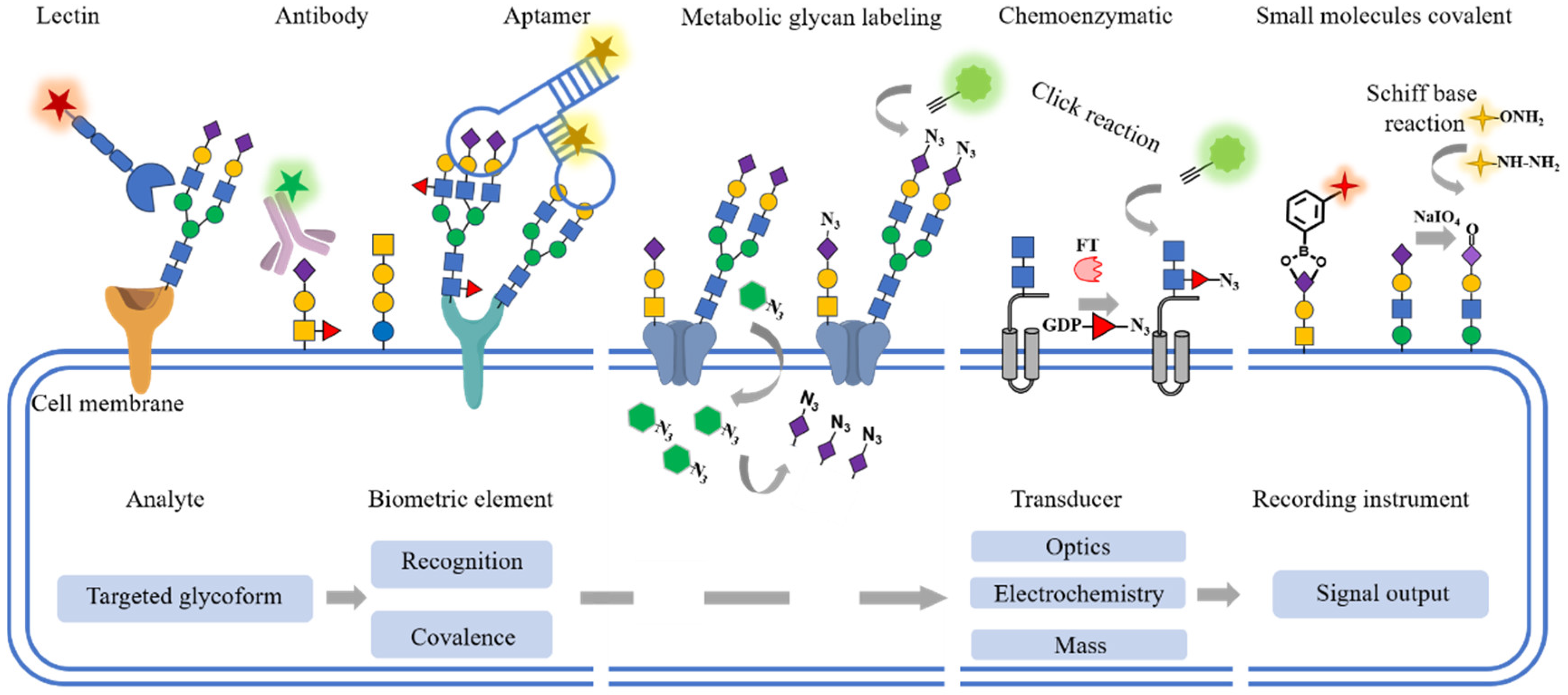 Targets 02 00001 sch001