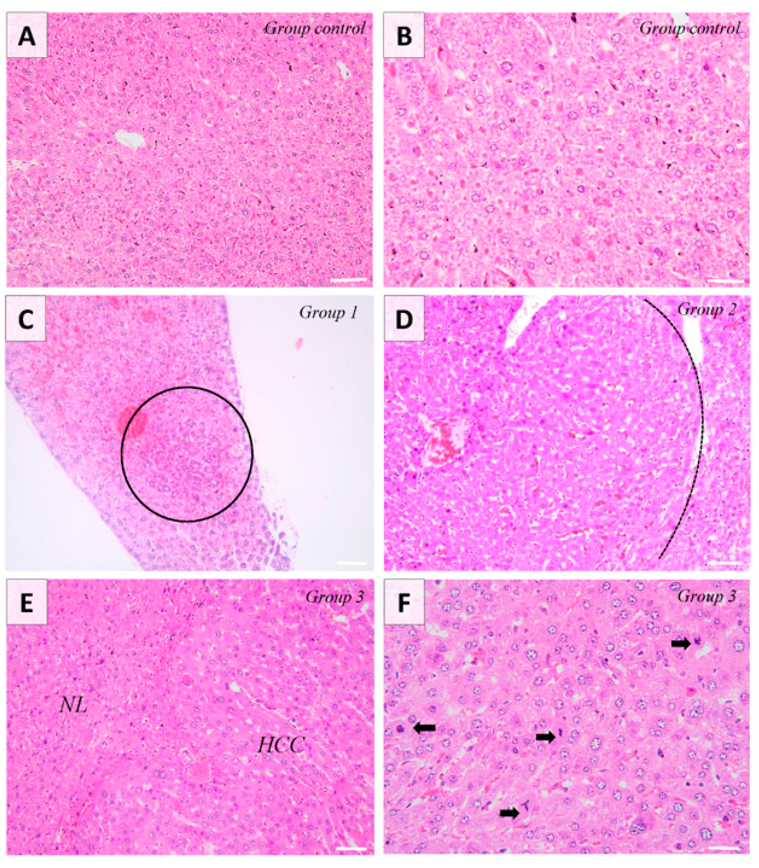 Targets 02 00003 g001