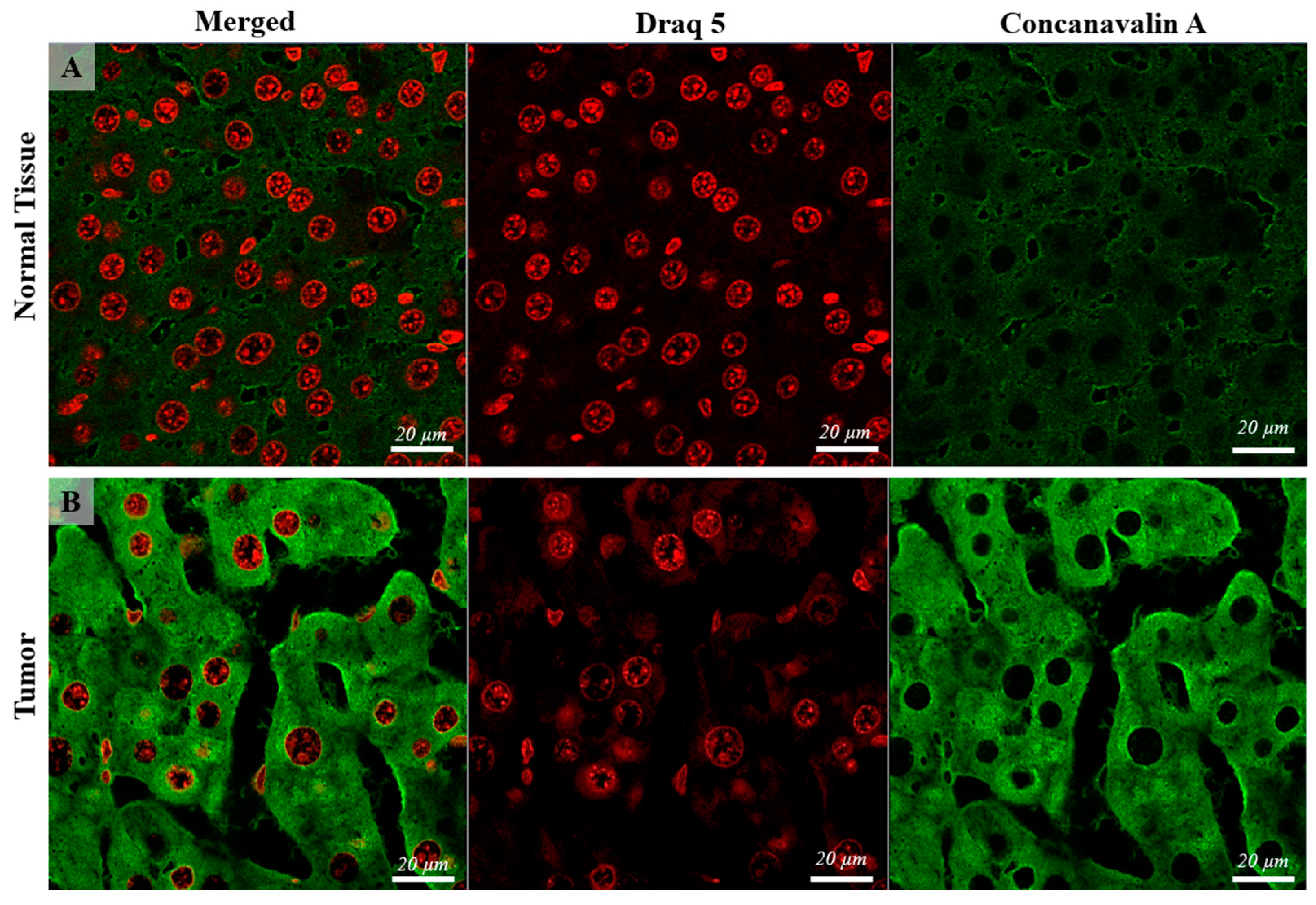 Targets 02 00003 g002