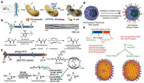Targets 02 00010 g002