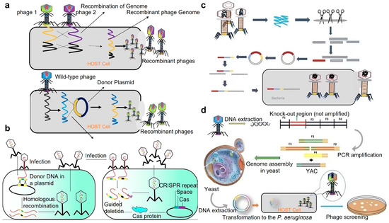 Targets 02 00010 g003