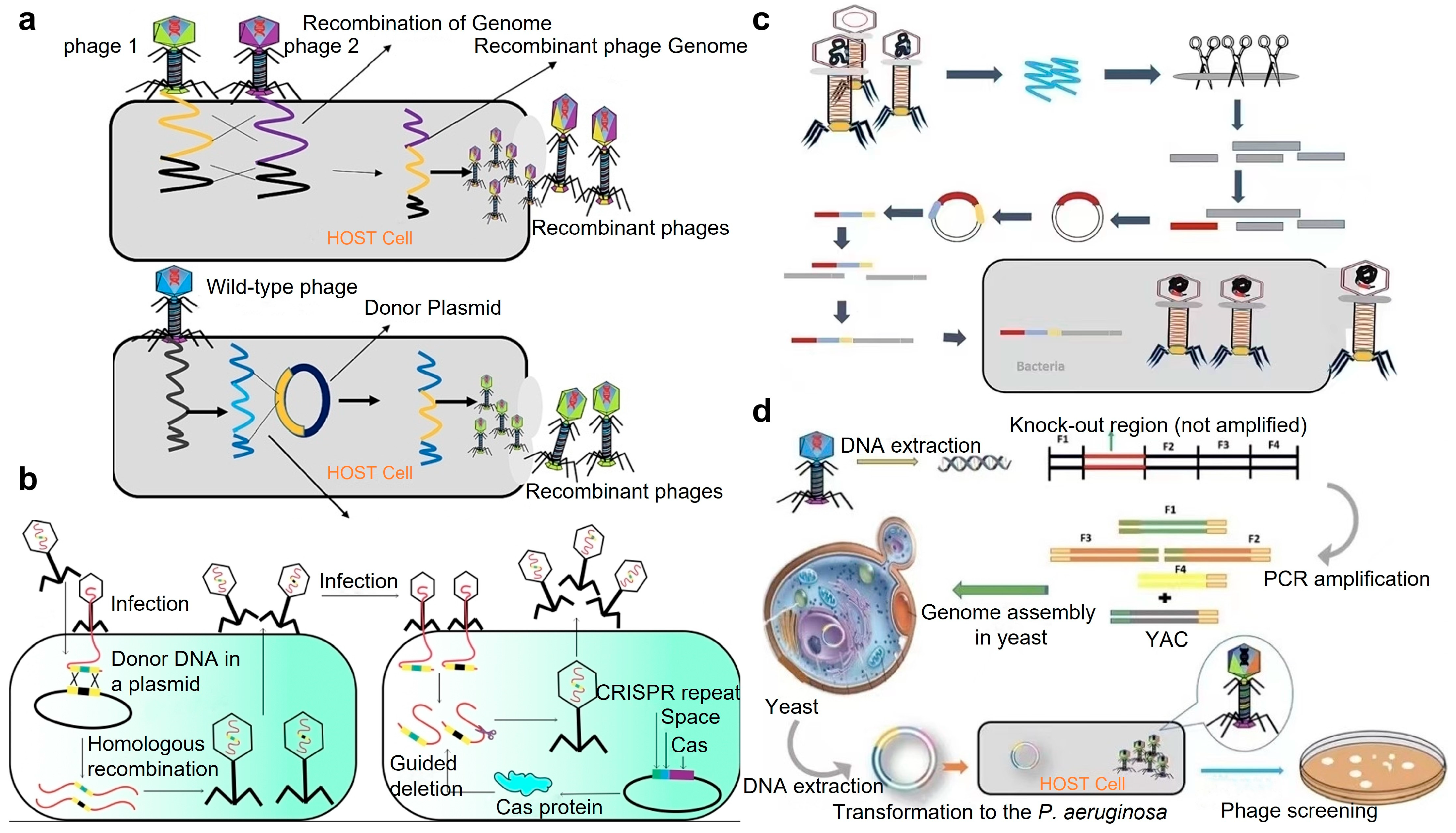 Targets 02 00010 g003