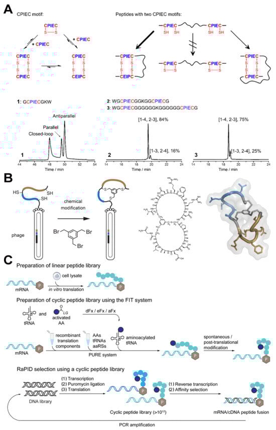 Targets 02 00011 g001