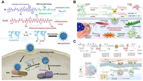 Targets 02 00011 g003