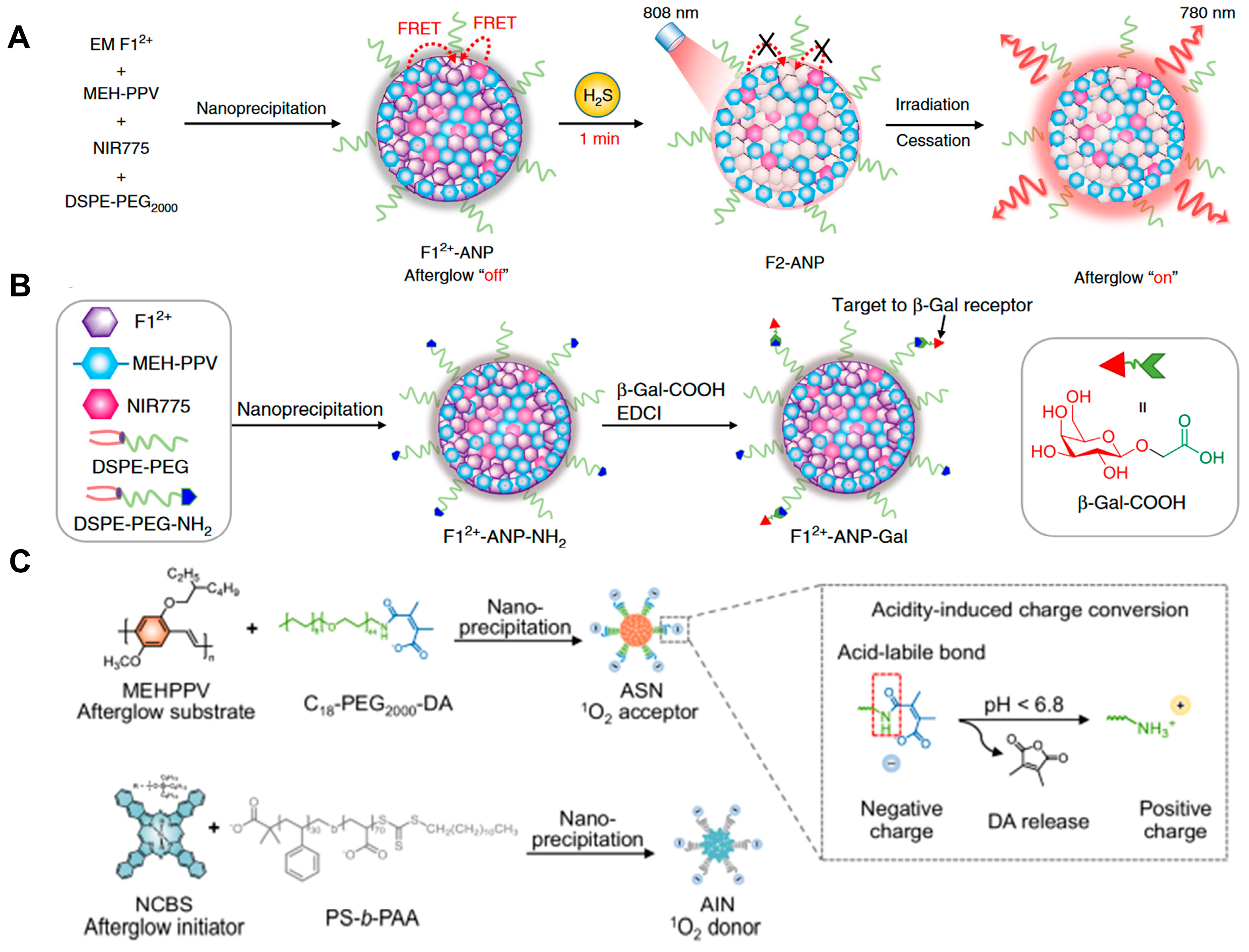 Targets 02 00019 g003