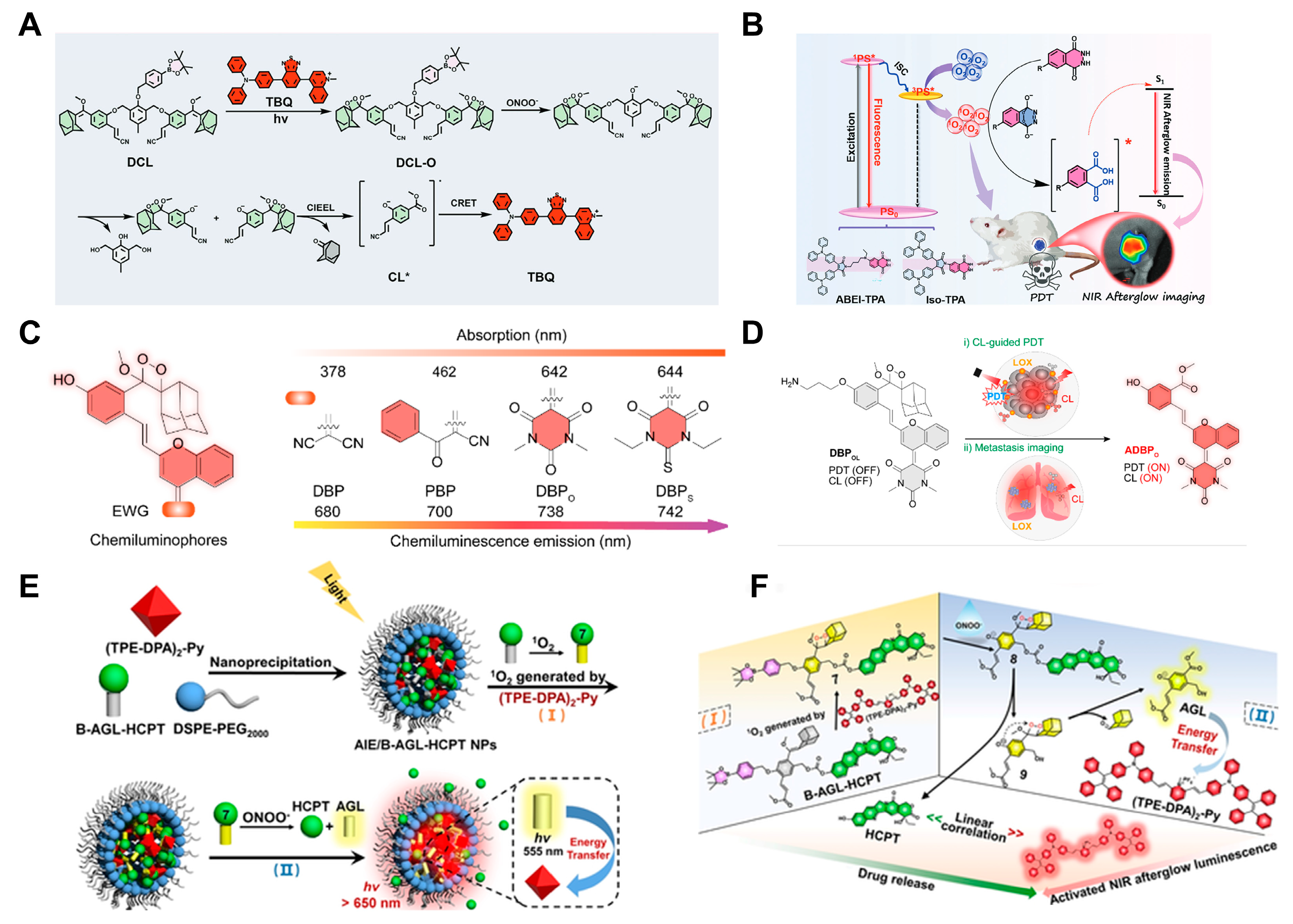 Targets 02 00019 g004