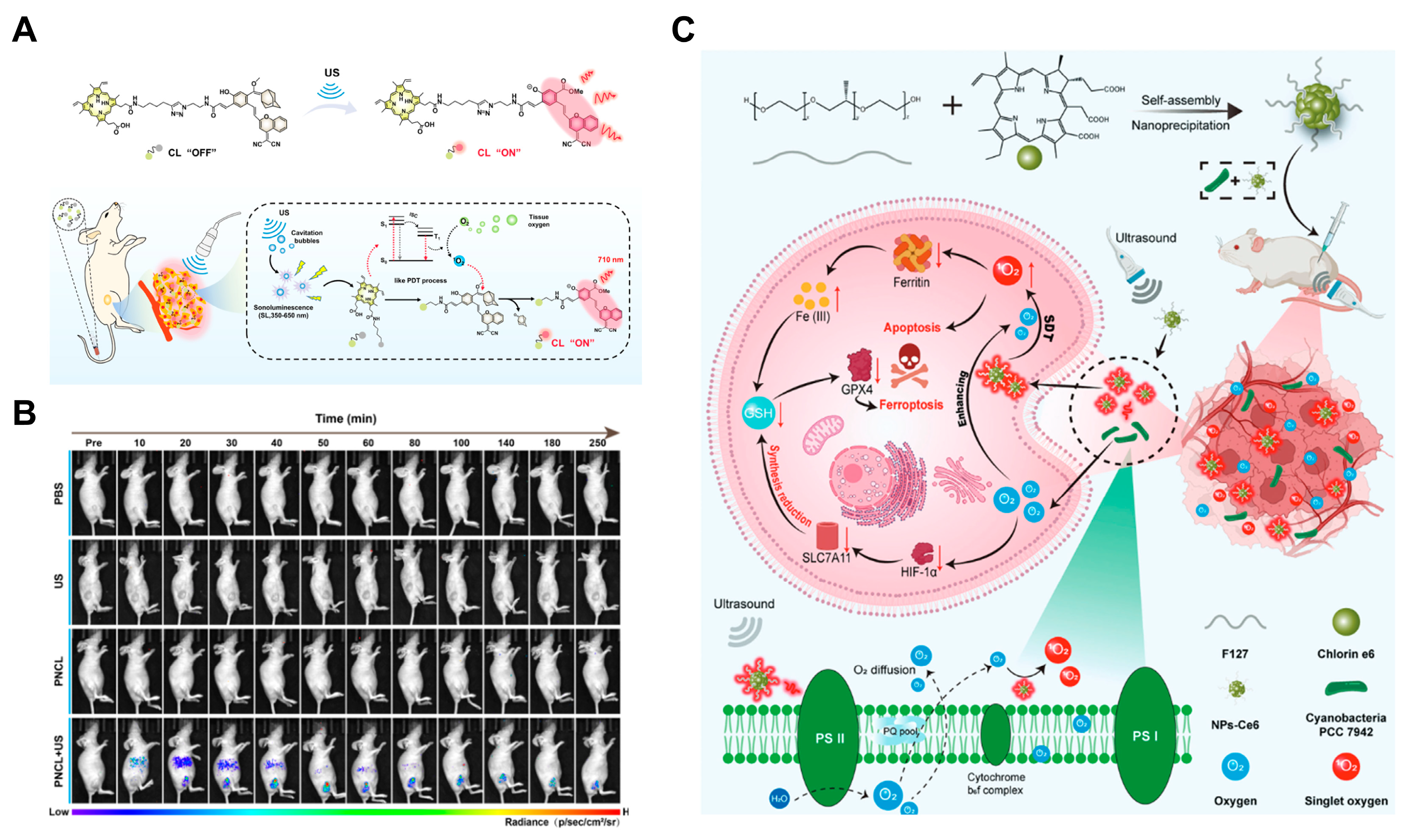 Targets 02 00019 g005