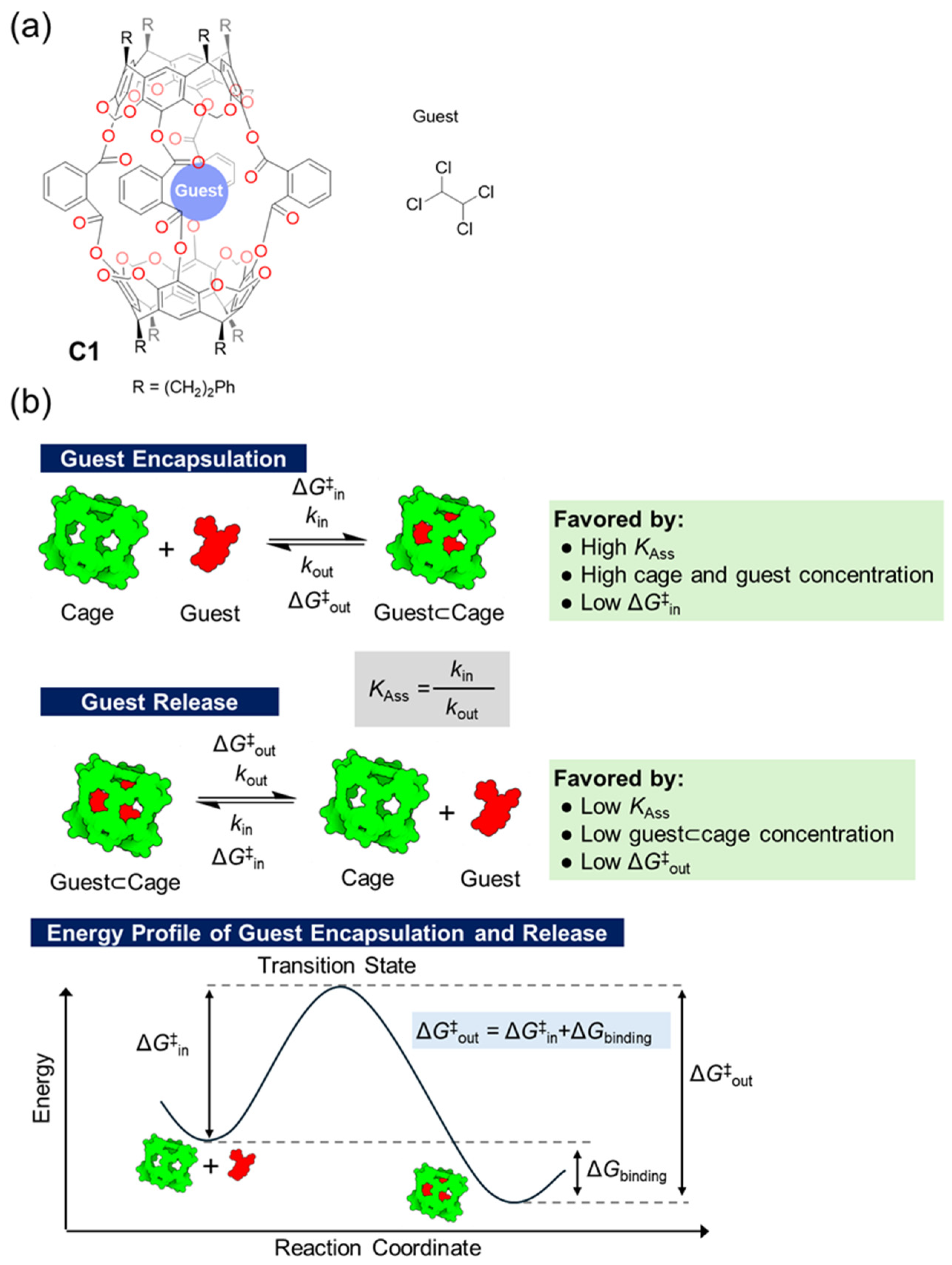 Targets 02 00021 g001