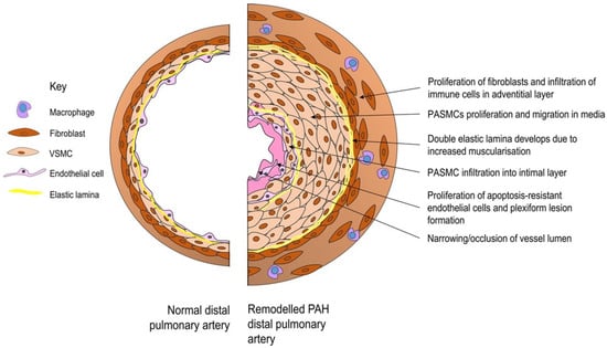 Targets 02 00024 g001