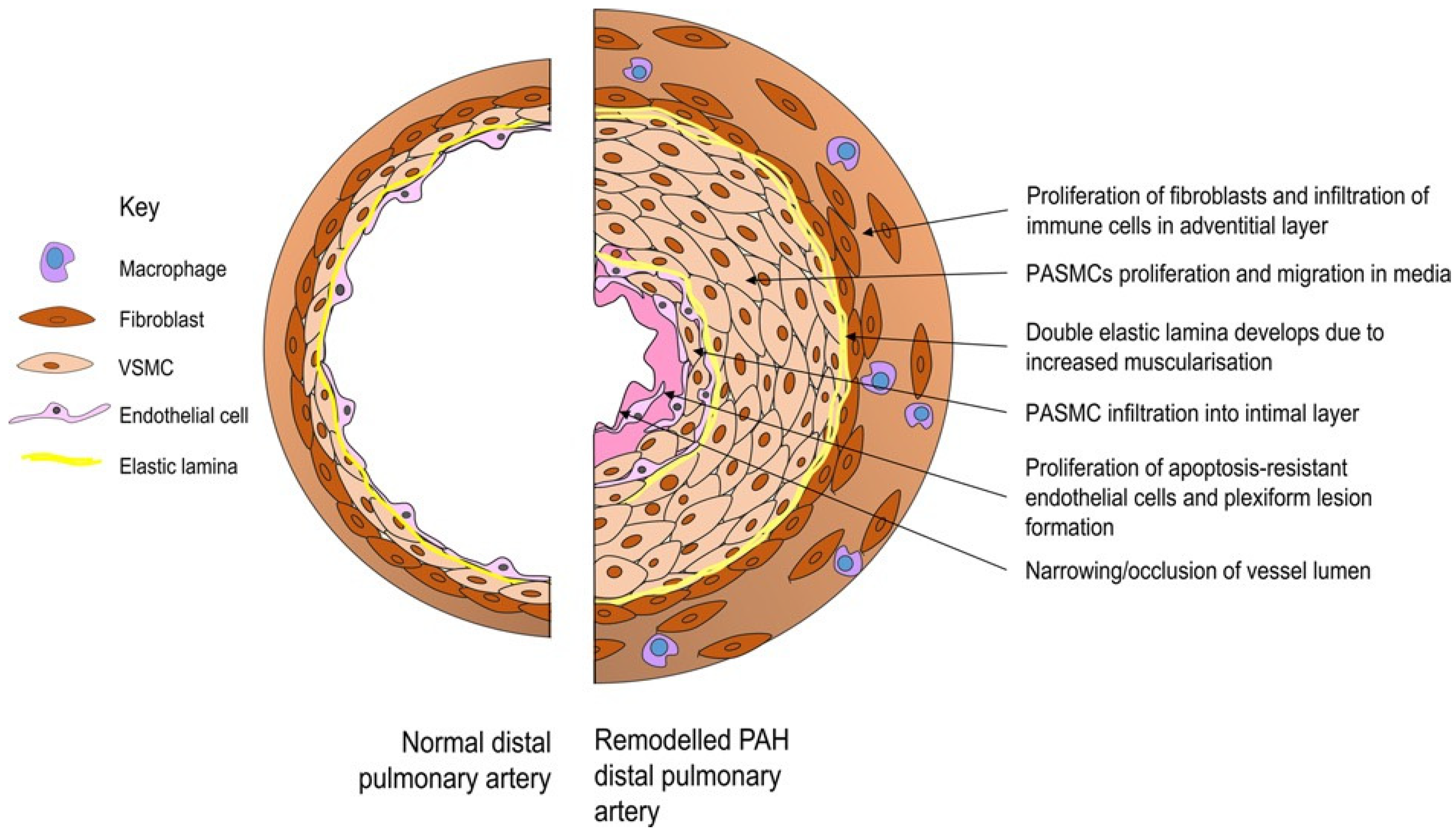 Targets 02 00024 g001