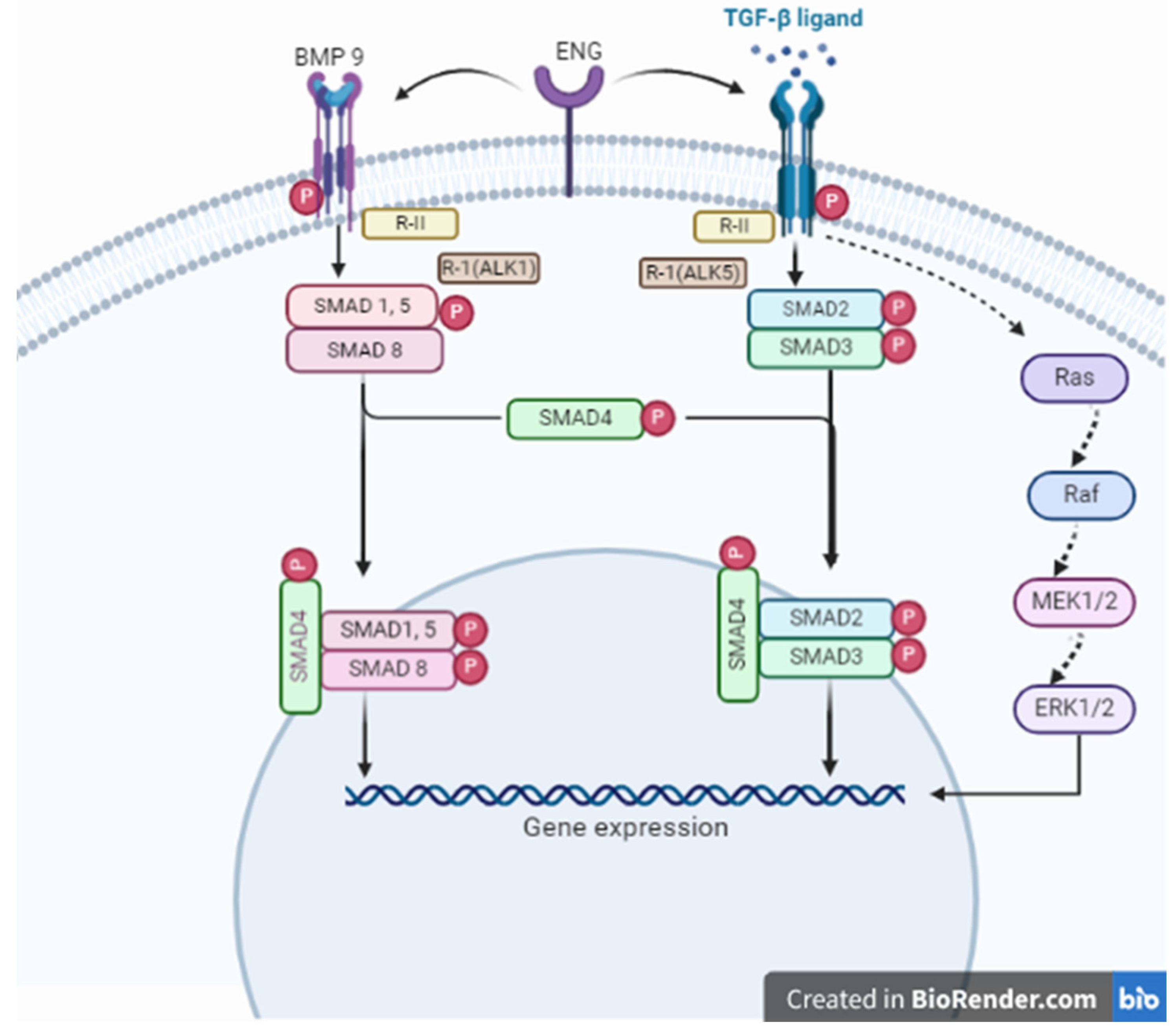 Targets 02 00024 g002