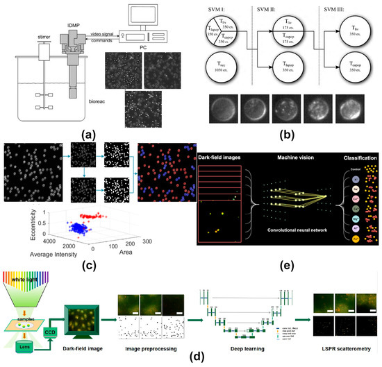 Targets 03 00002 g002