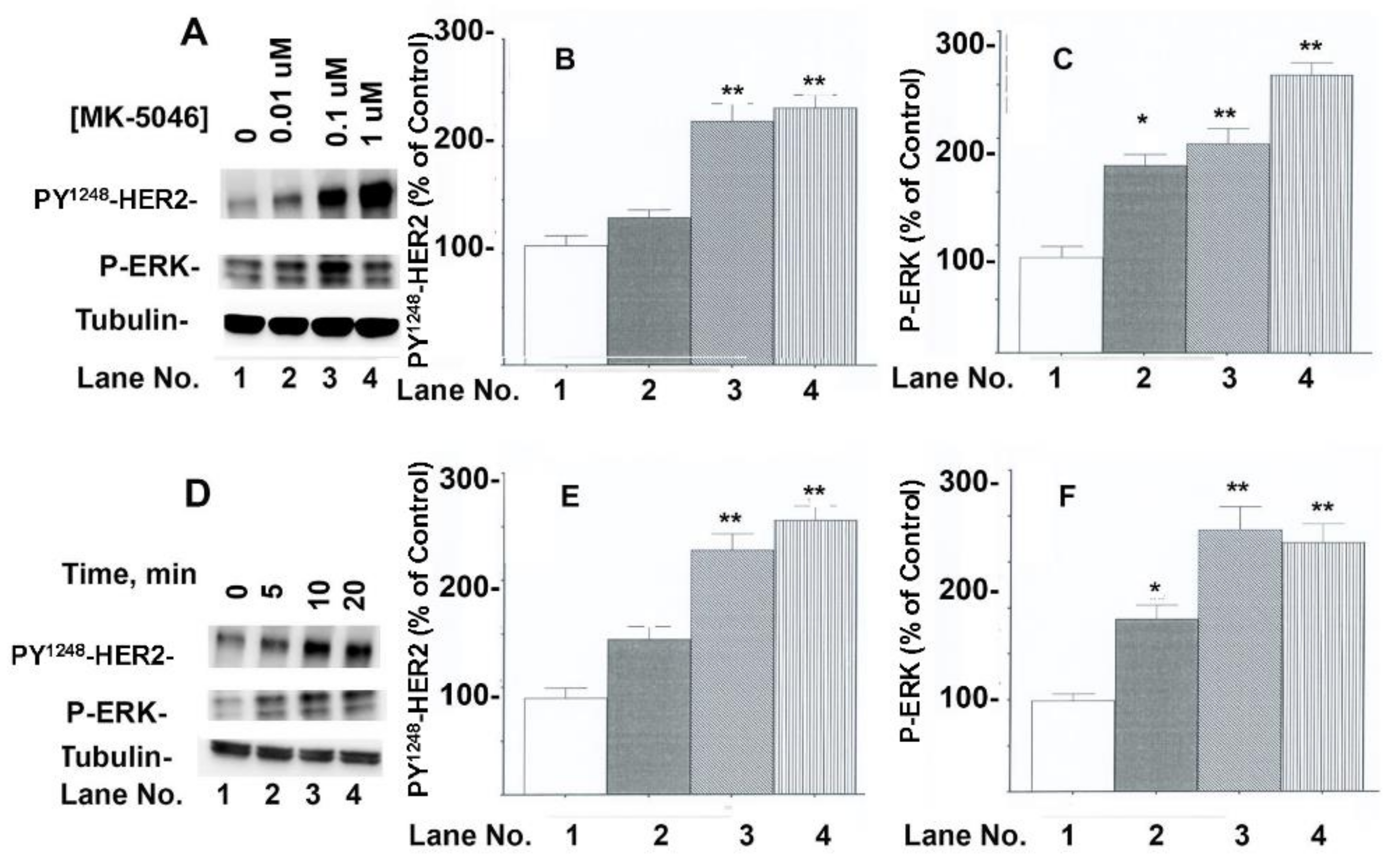 Targets 03 00007 g002