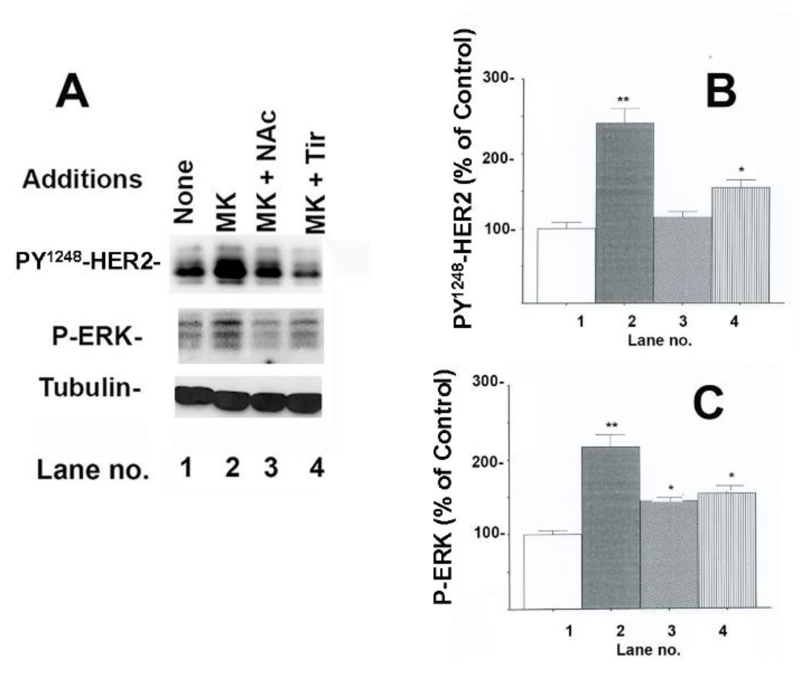 Targets 03 00007 g004