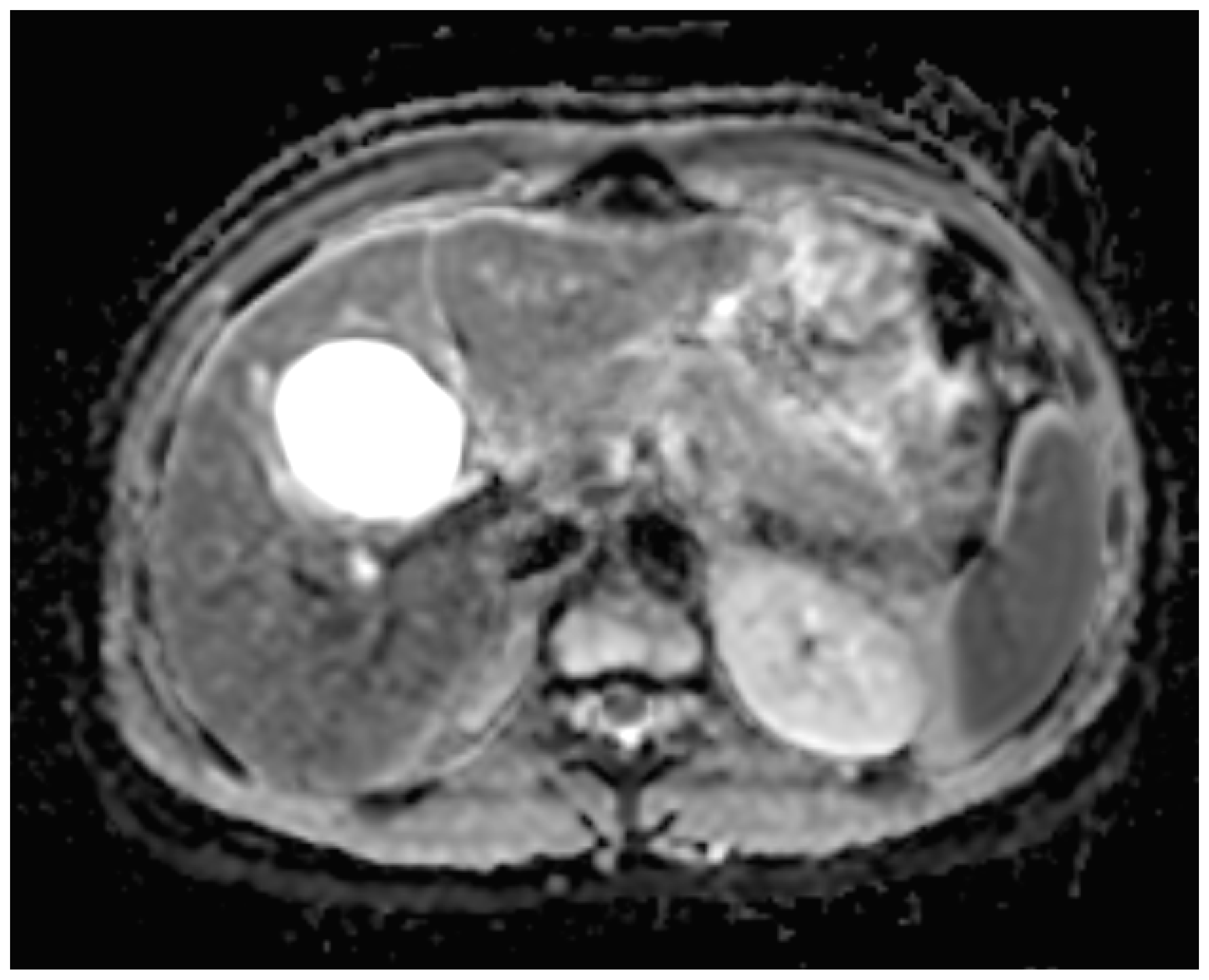 Targets 03 00015 g005 Targets 03 00015 g005