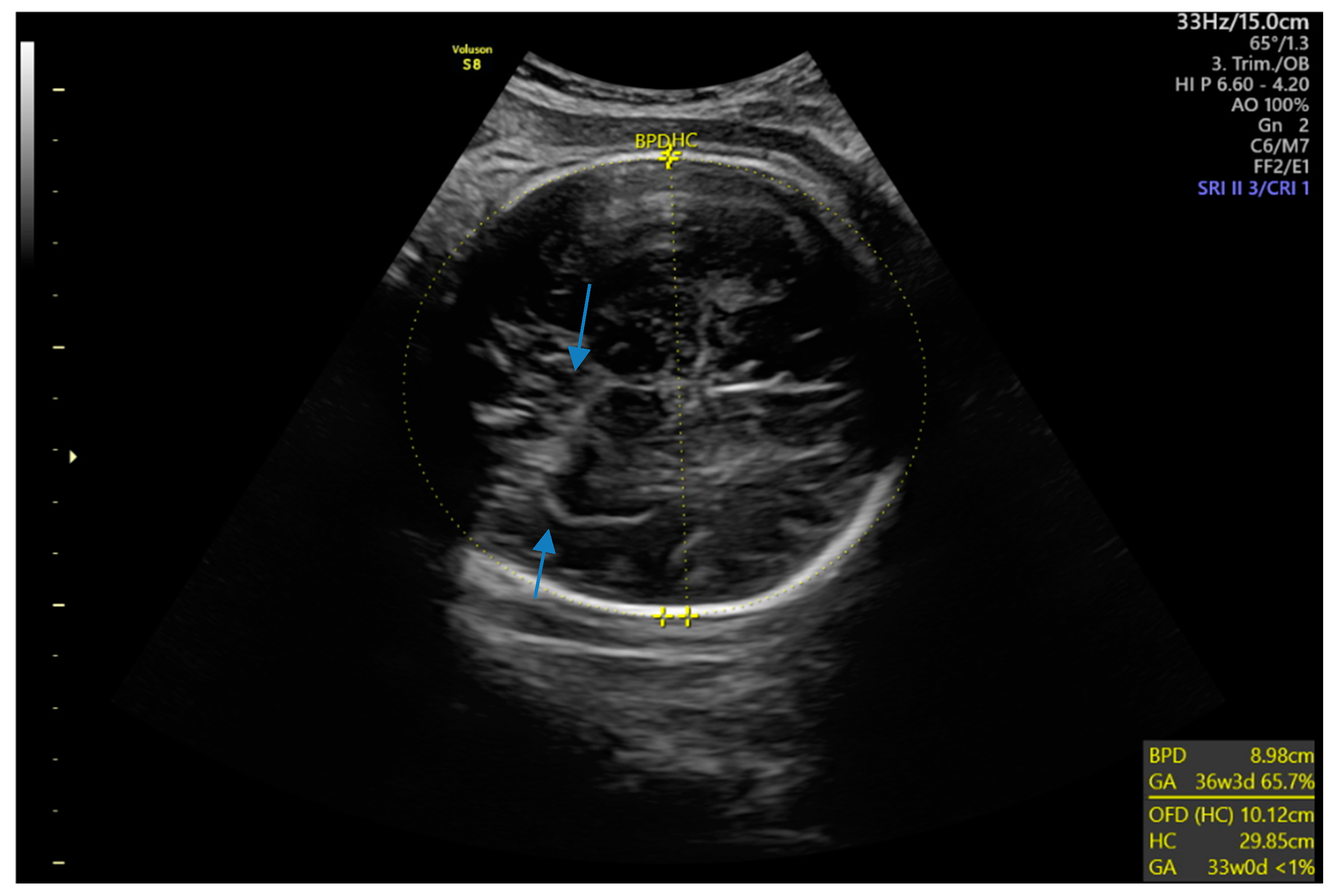 Targets 03 00015 g007 Targets 03 00015 g007