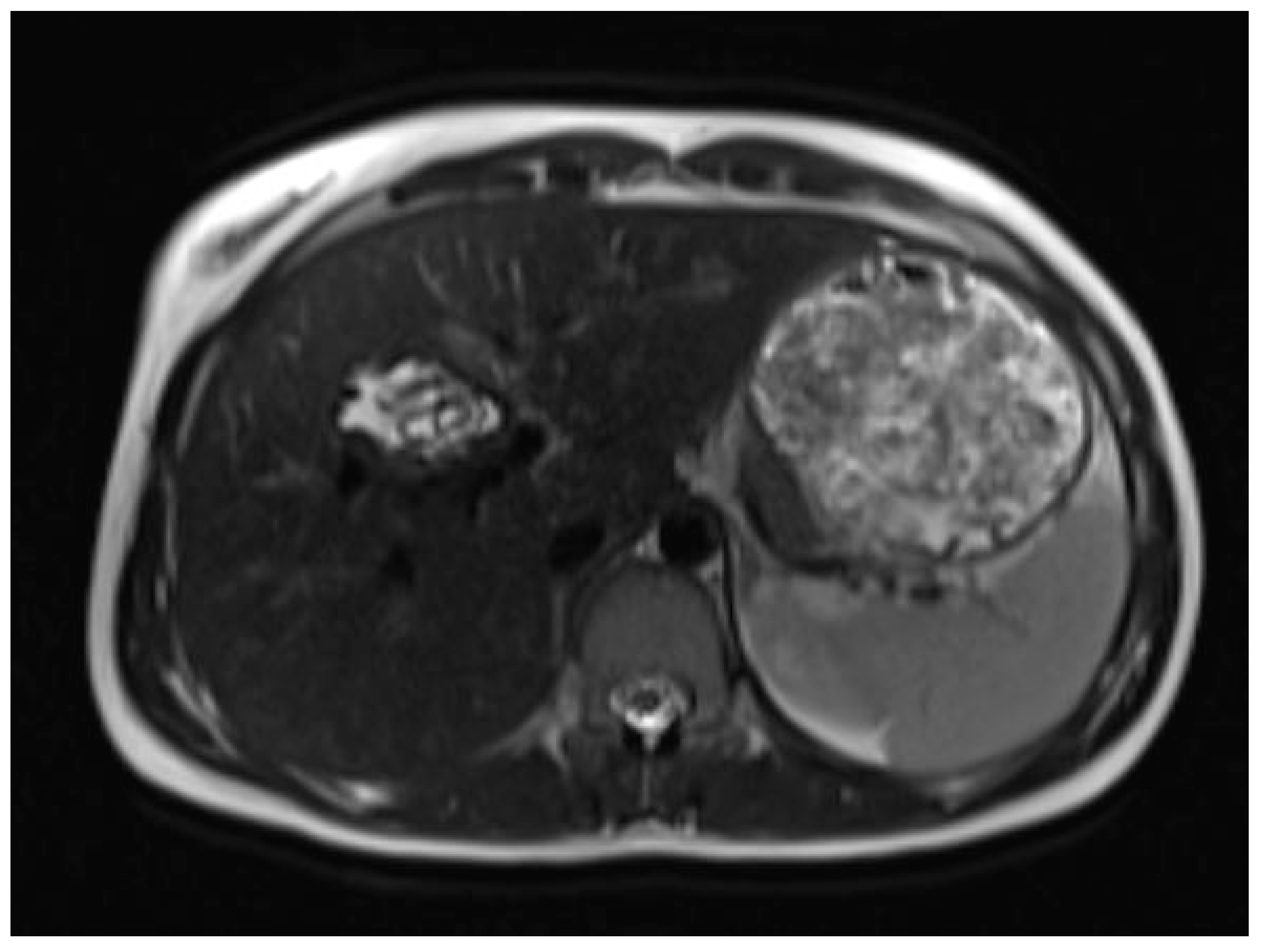 Targets 03 00015 g008 Targets 03 00015 g008