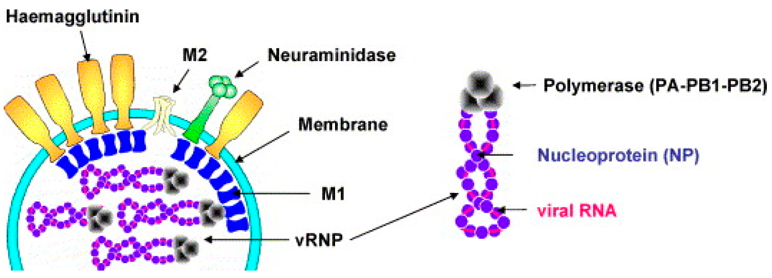 Targets 03 00016 g001