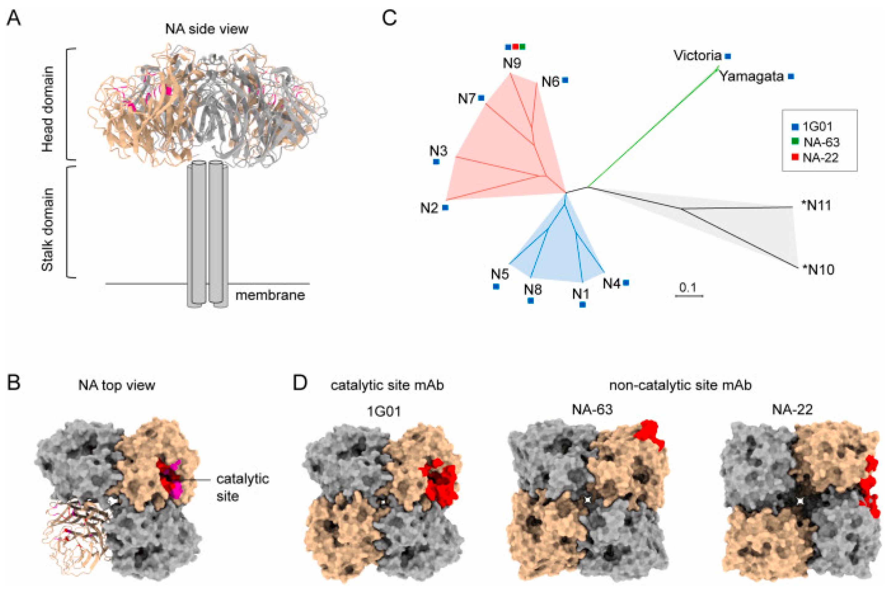 Targets 03 00016 g003