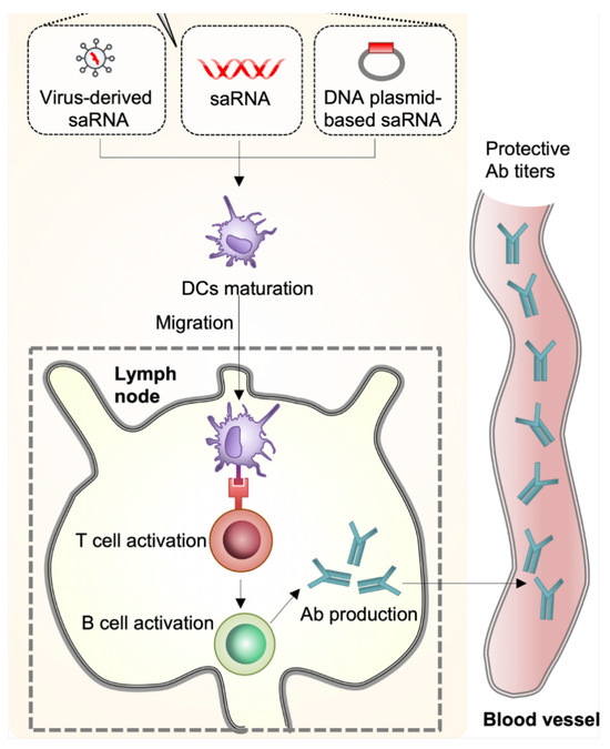 Targets 03 00016 g004
