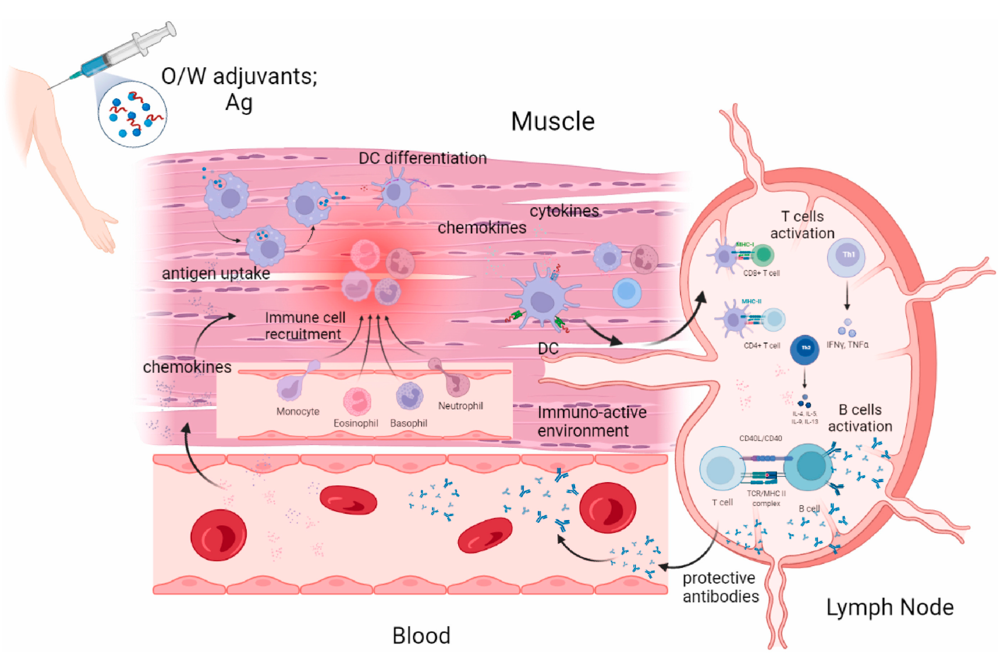 Targets 03 00016 g006