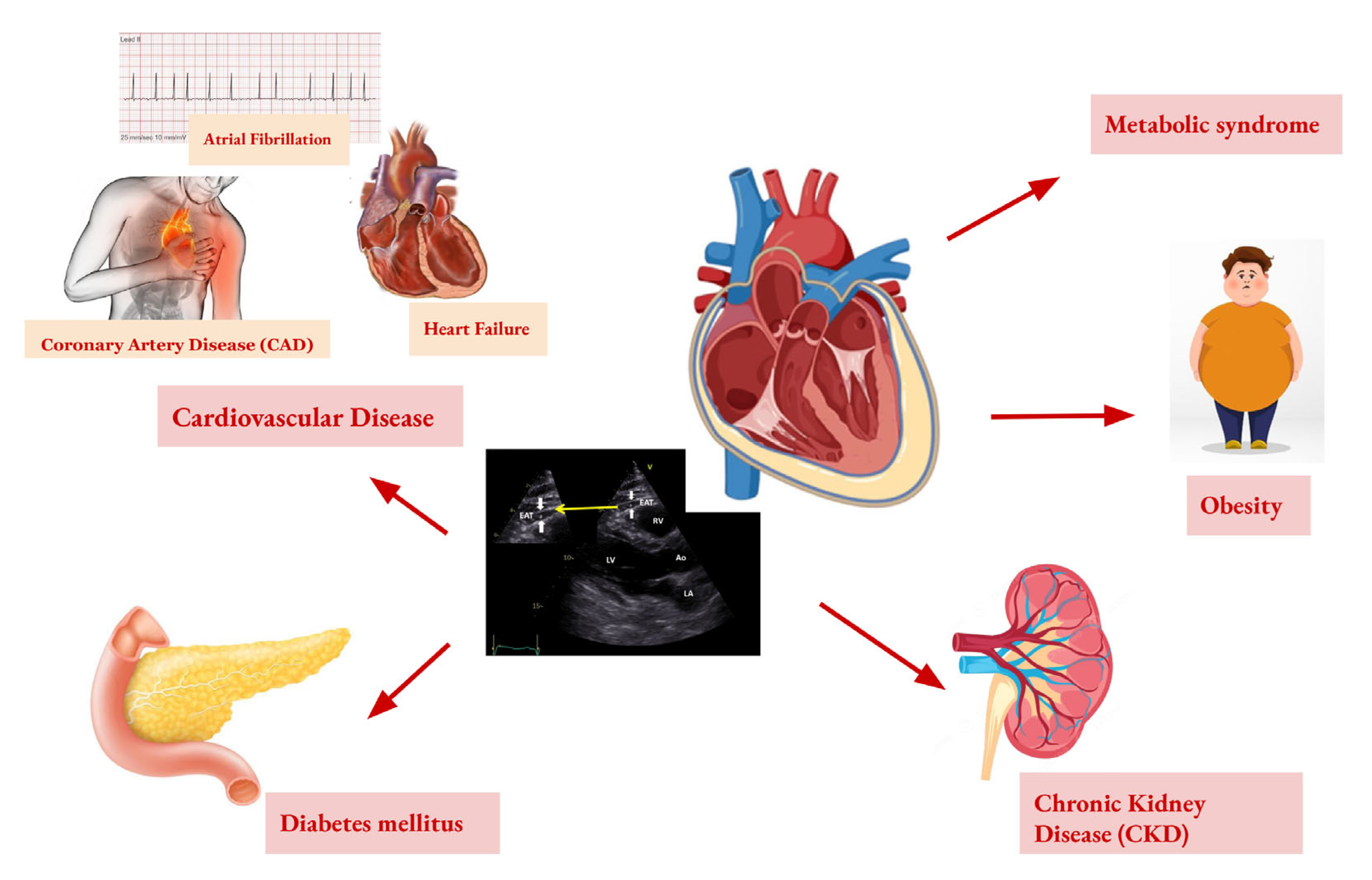 Targets 03 00017 g002