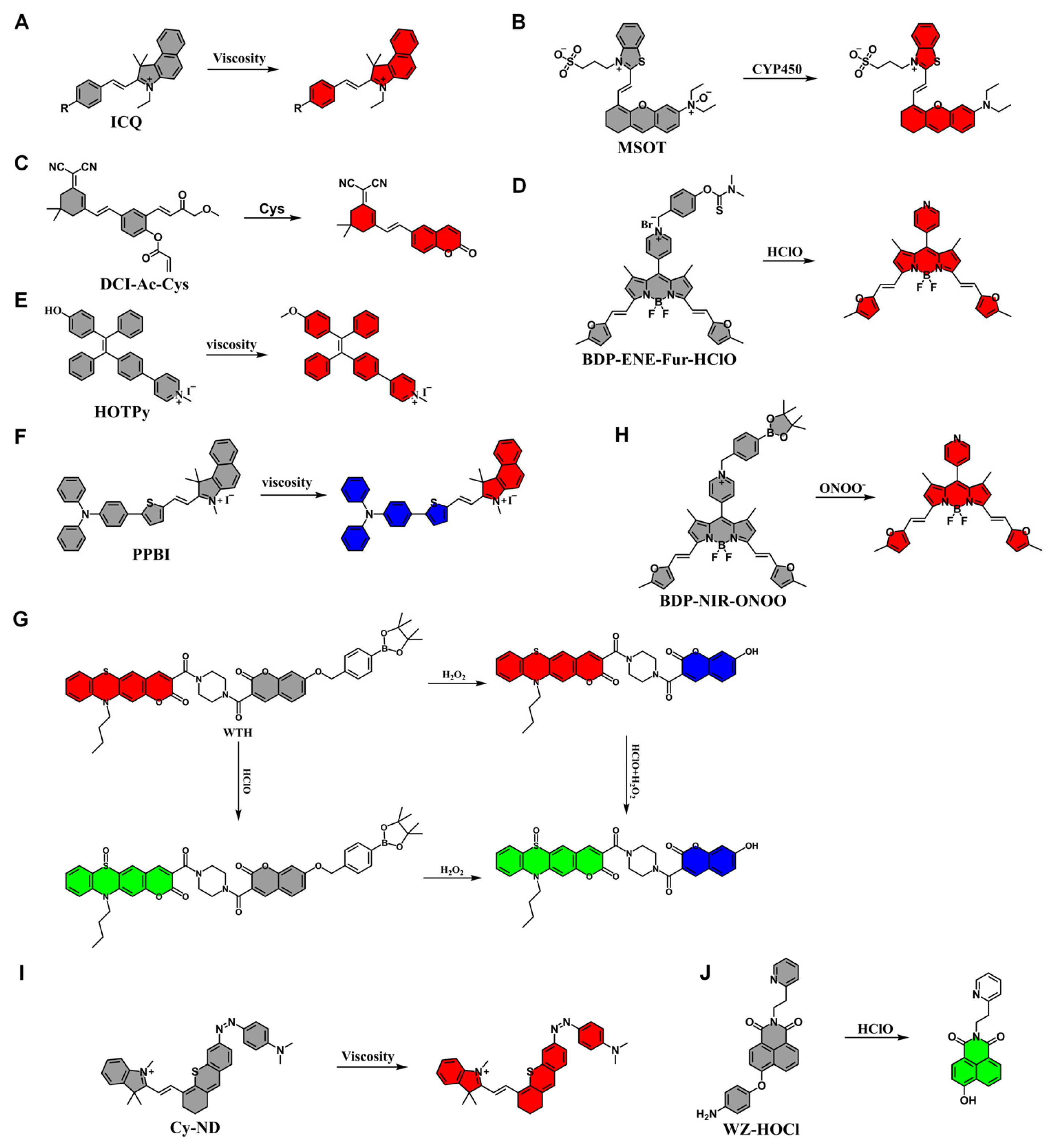 Targets 03 00018 g002