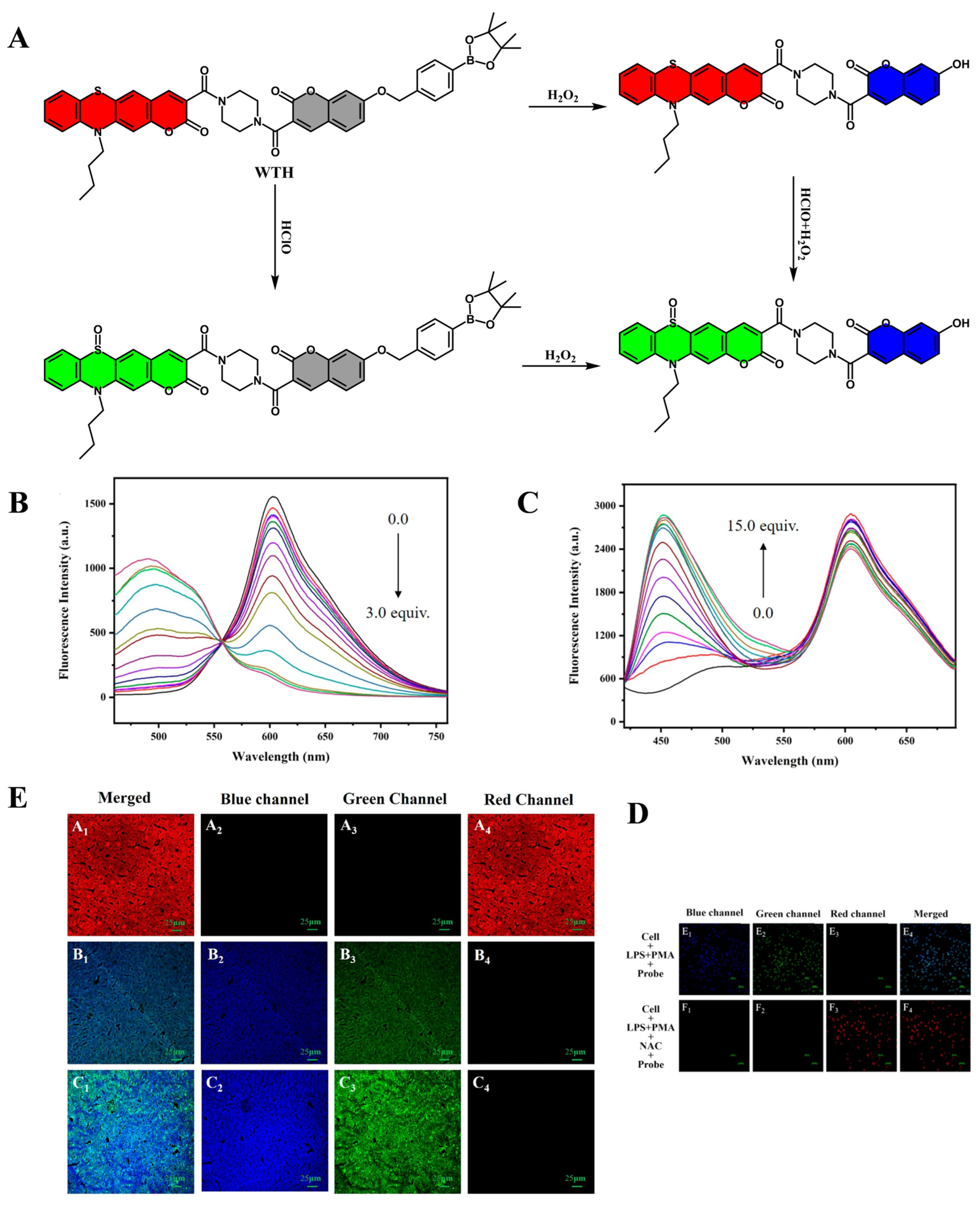 Targets 03 00018 g004