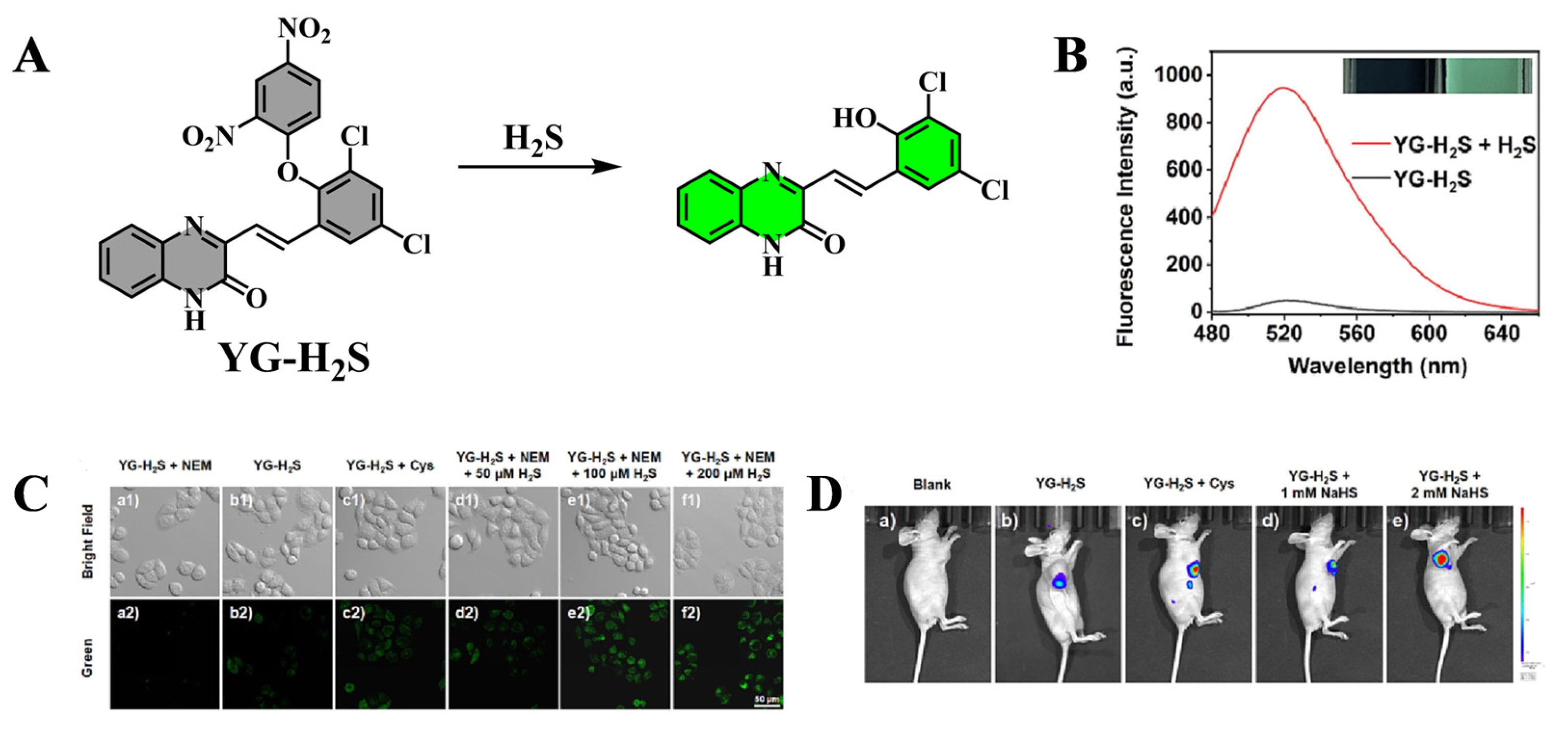 Targets 03 00018 g007