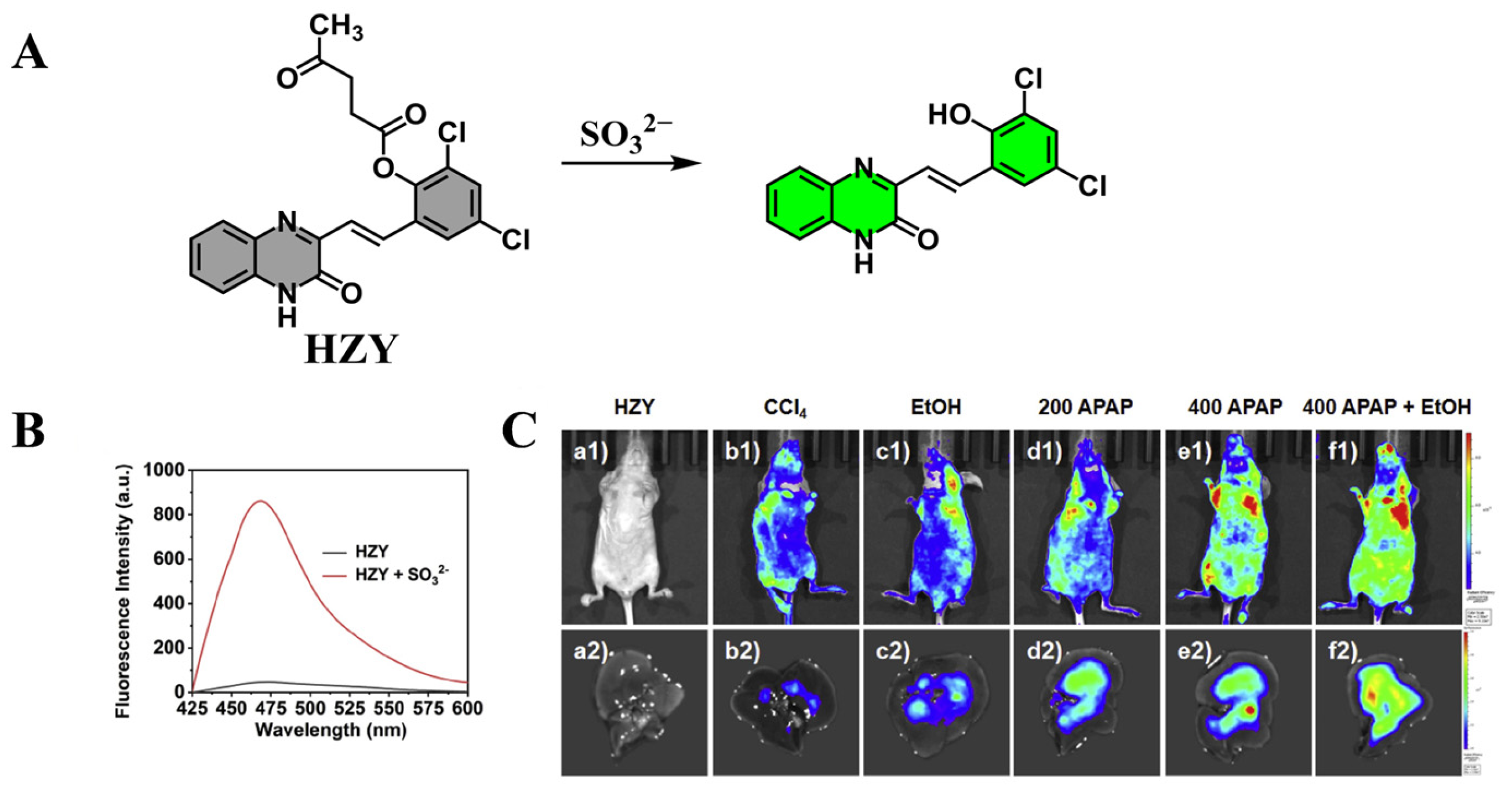 Targets 03 00018 g008