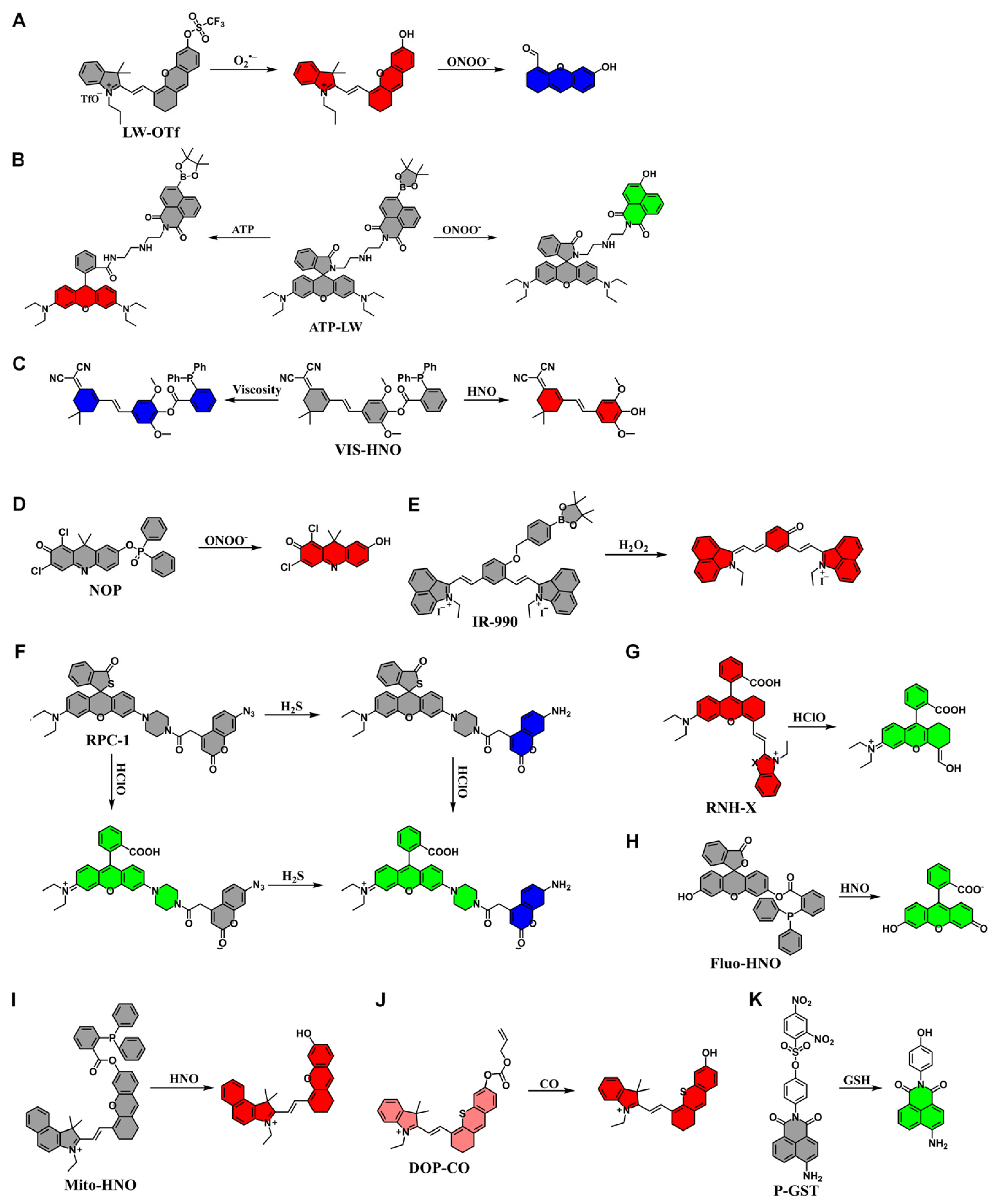 Targets 03 00018 g010