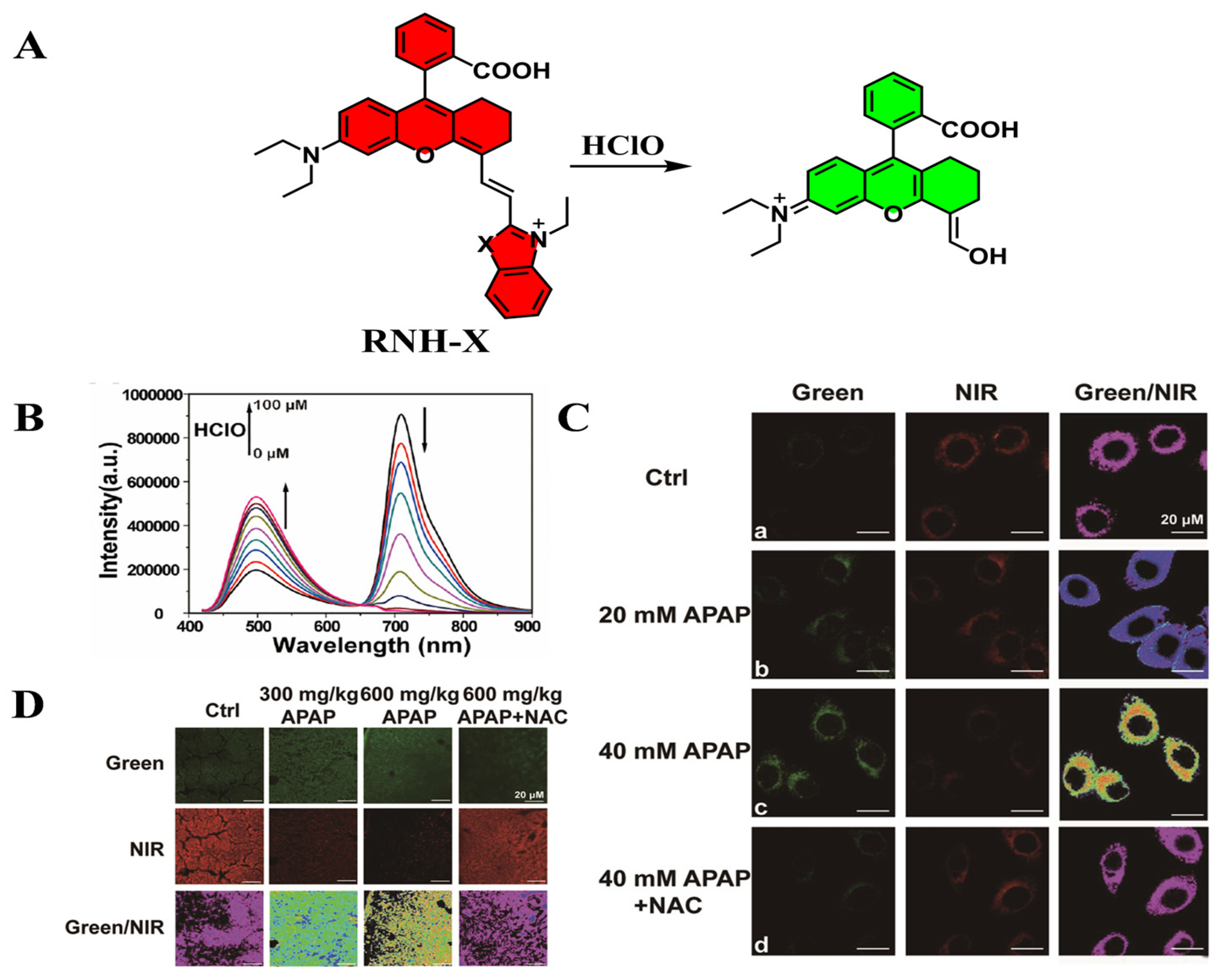 Targets 03 00018 g012