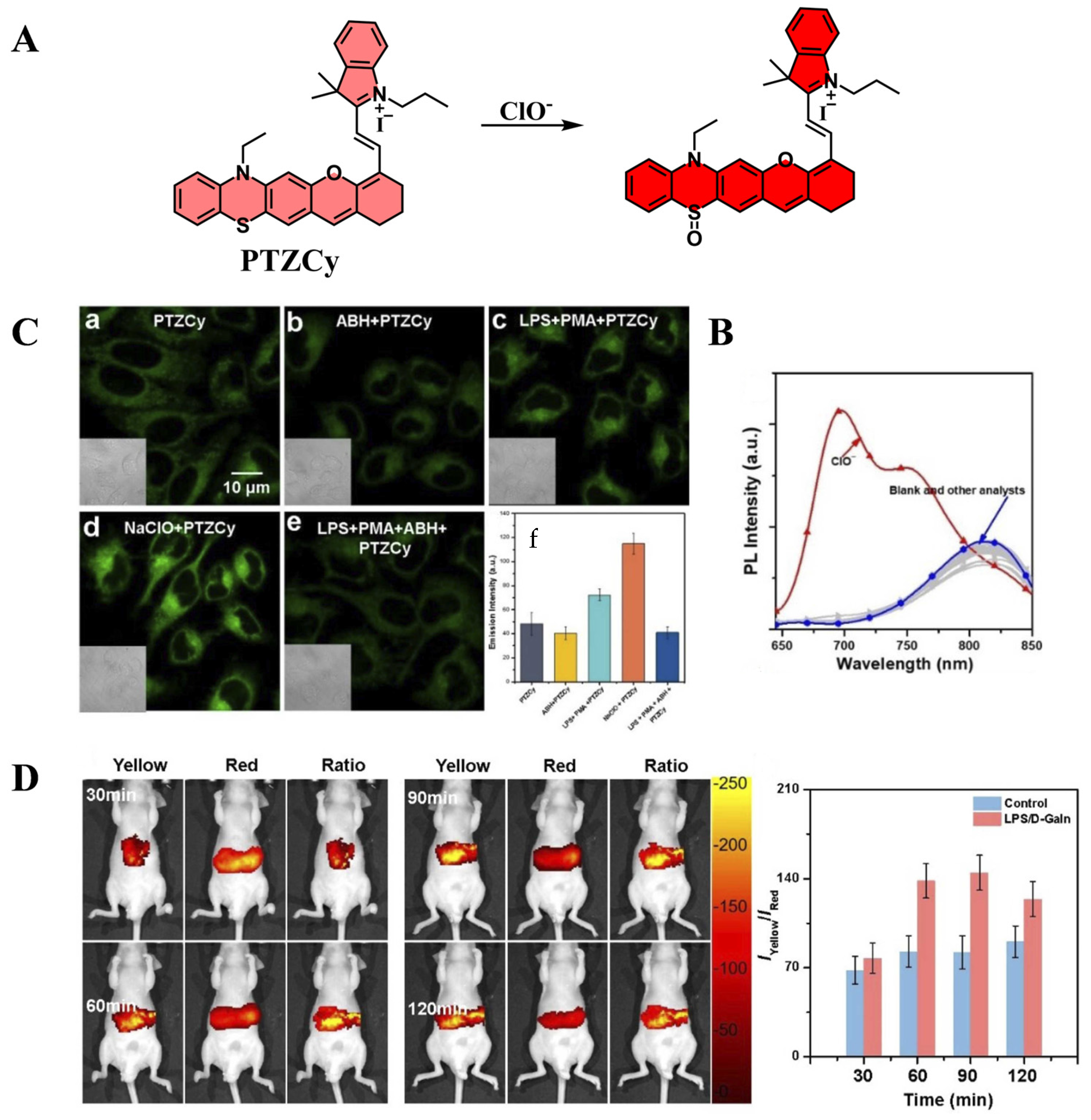 Targets 03 00018 g019