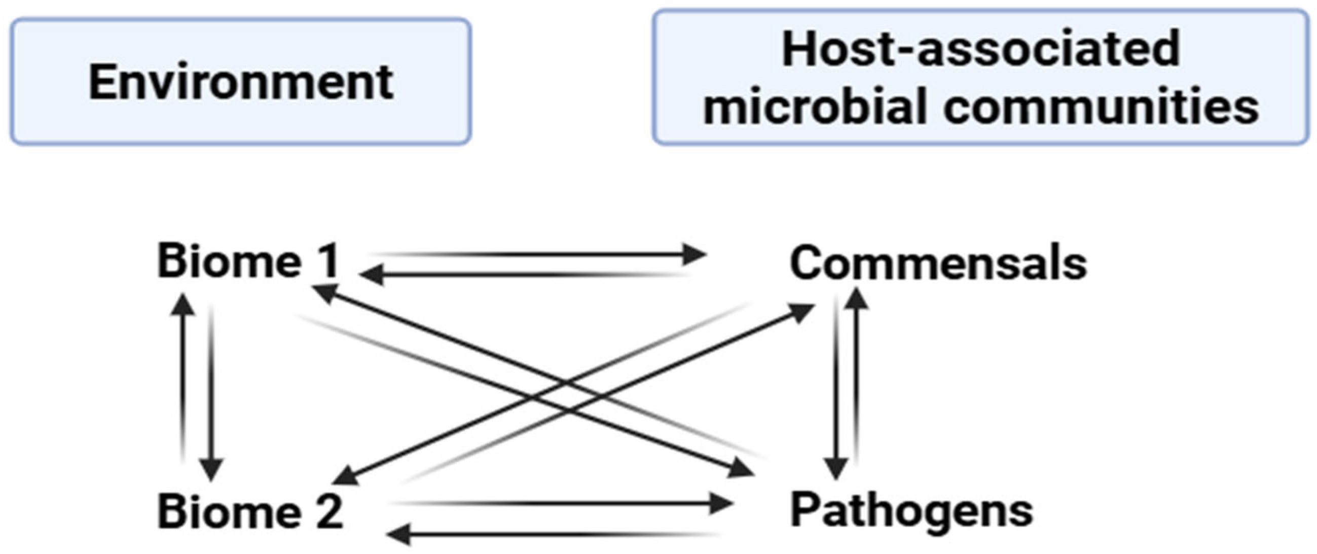 Targets 03 00025 g001